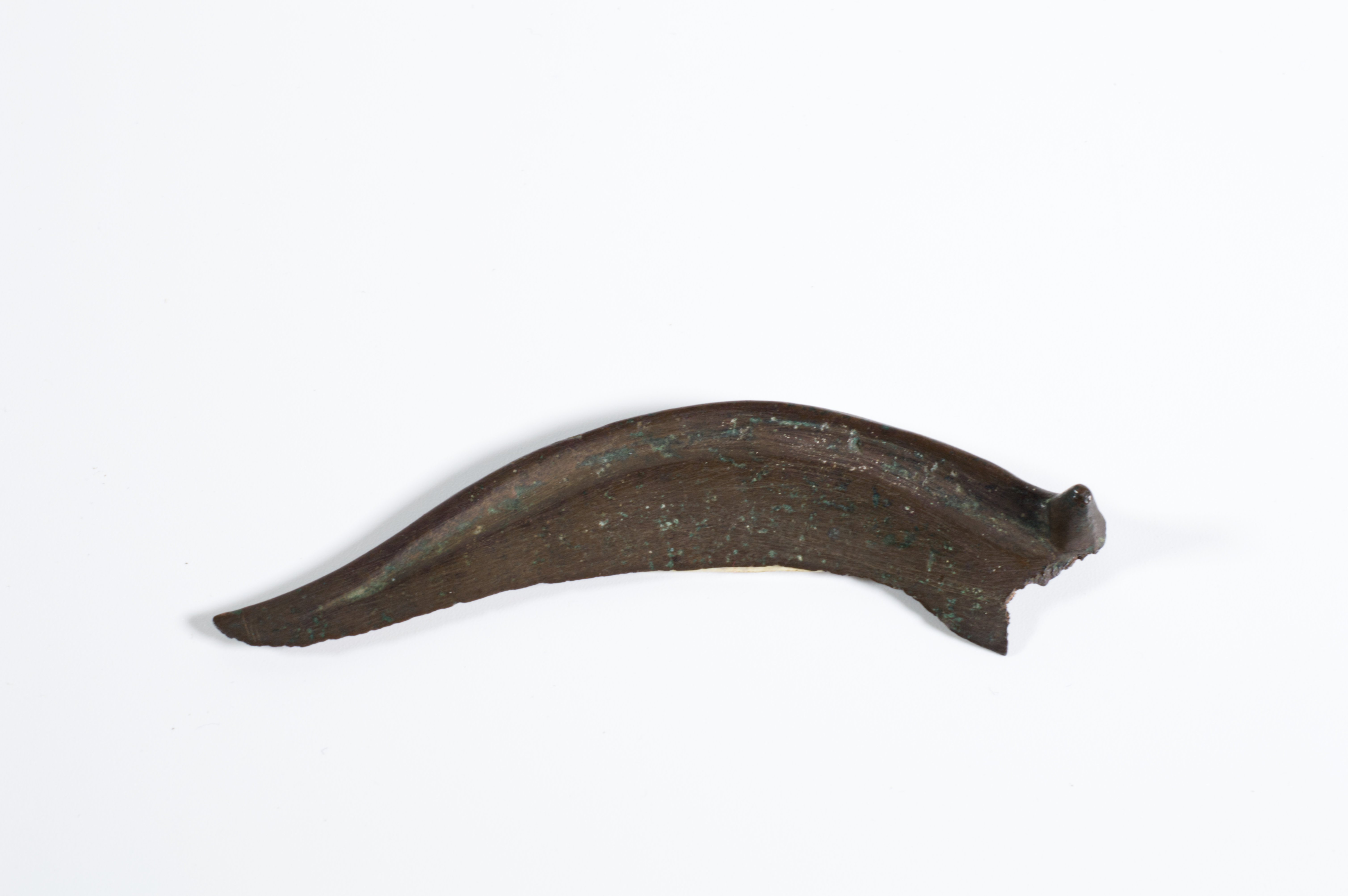 Bronzesichel (Museumsfabrik Pritzwalk CC BY-SA)