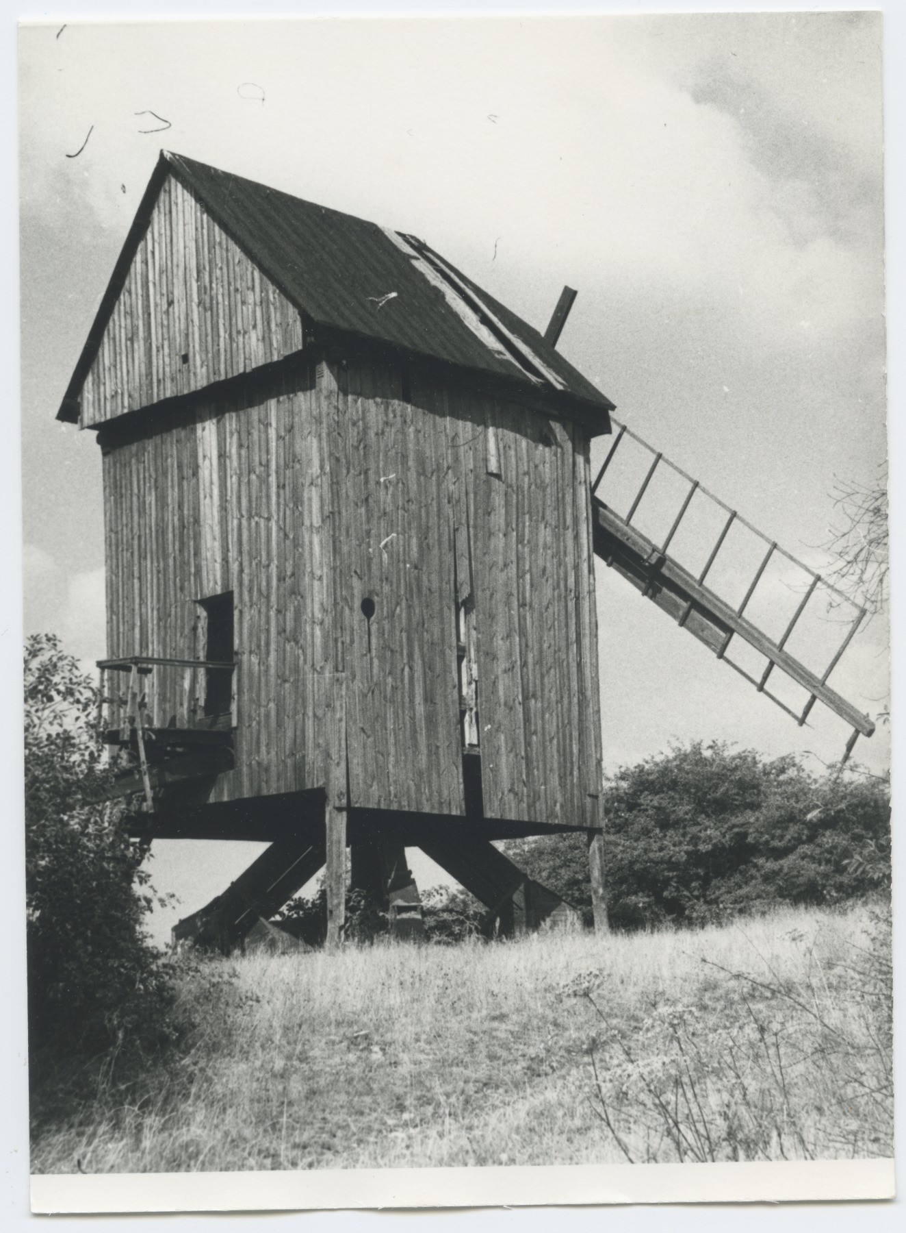 Bockwindmühle Borne bei Bad Belzig (Historische Mühle von Sanssouci CC BY-NC-ND)