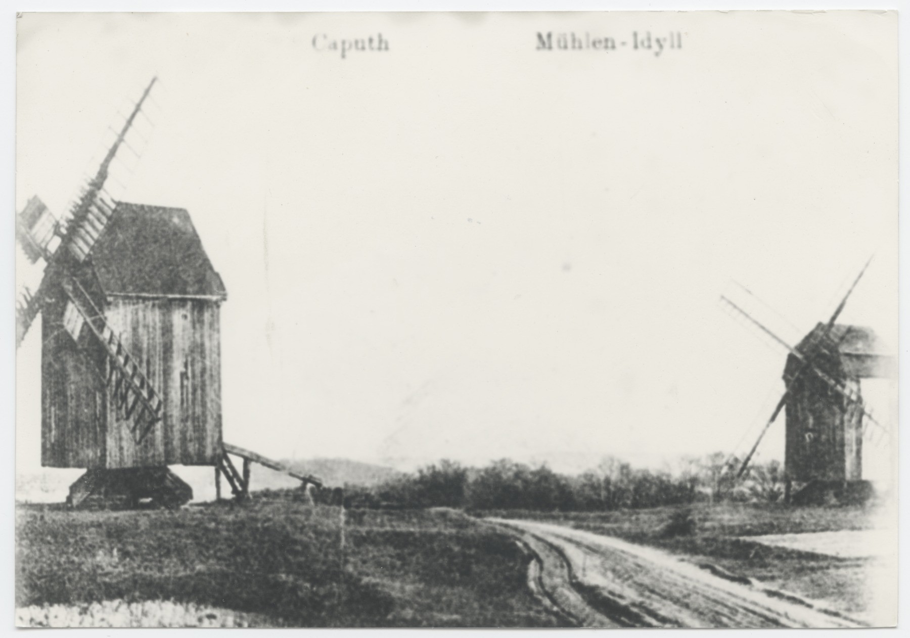 Bockwindmühlen Caputh (Historische Mühle von Sanssouci CC BY-NC-ND)