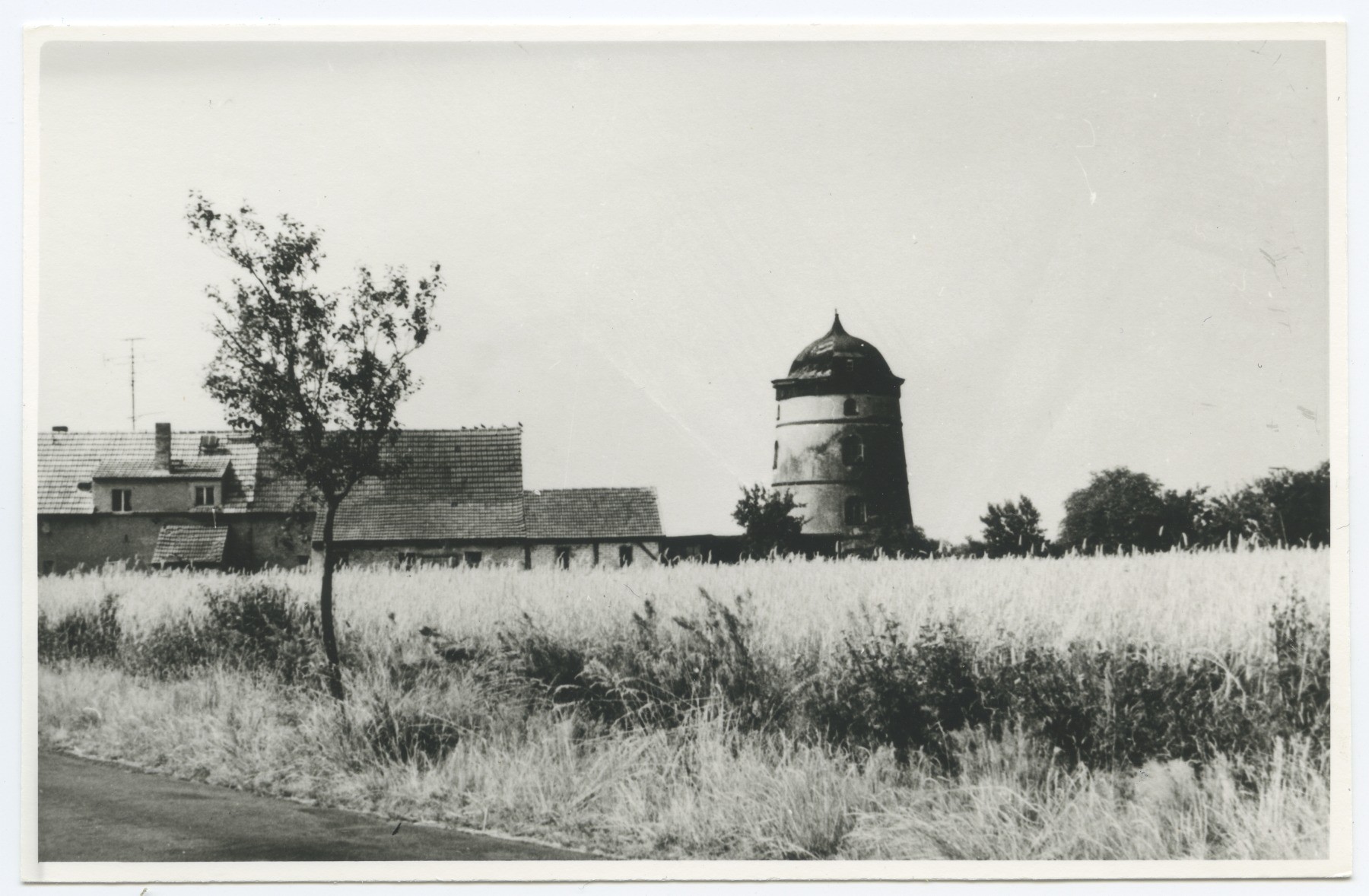 Turmholländermühle Kauxdorf (Historische Mühle von Sanssouci CC BY-NC-ND)