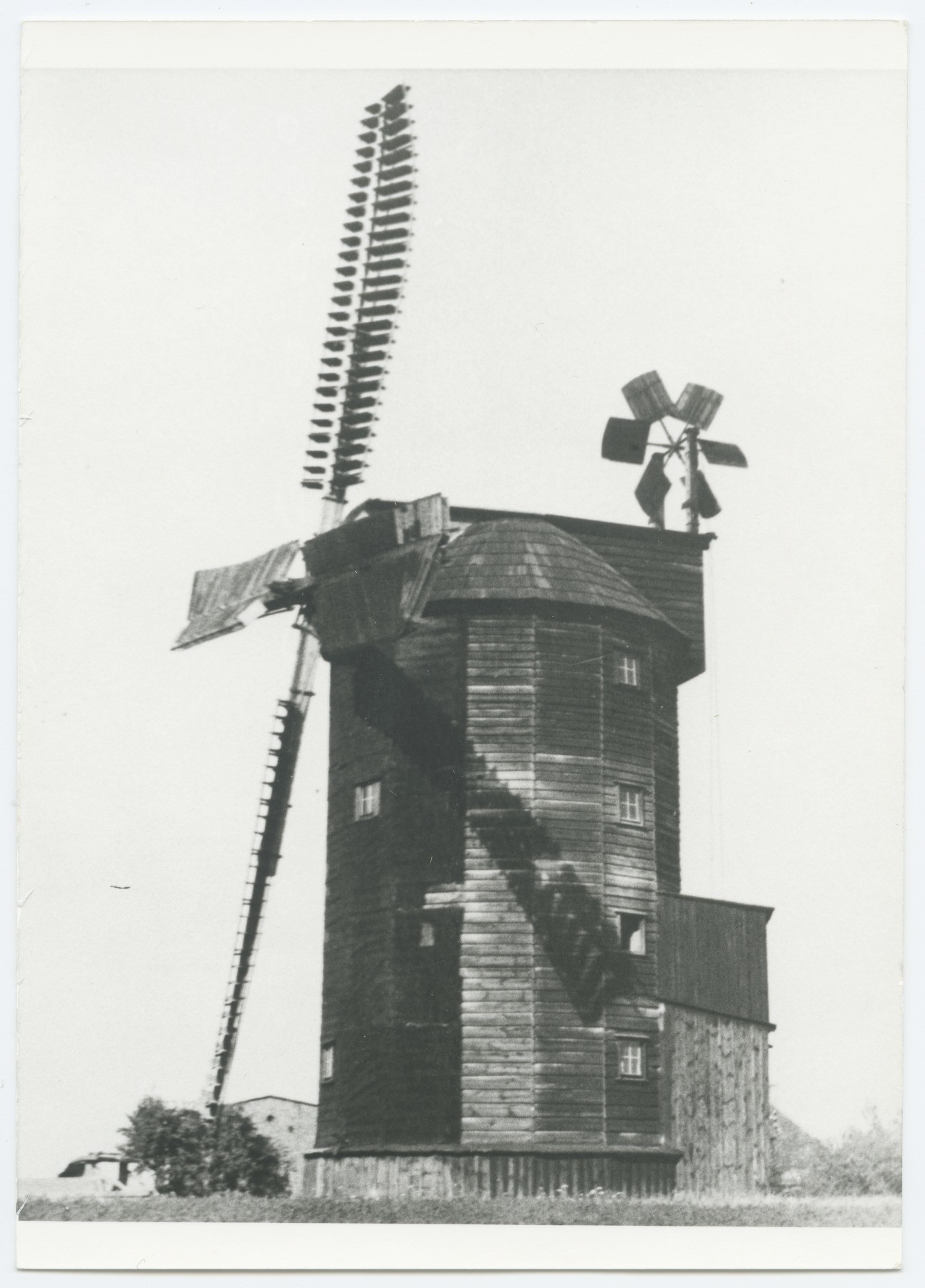 Paltrockmühle Klein Ziethen (Historische Mühle von Sanssouci CC BY-NC-ND)