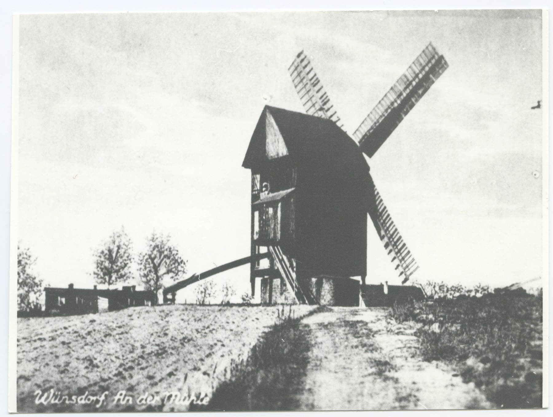 Bockwindmühle Wünsdorf bei Zossen (Historische Mühle von Sanssouci CC BY-NC-ND)