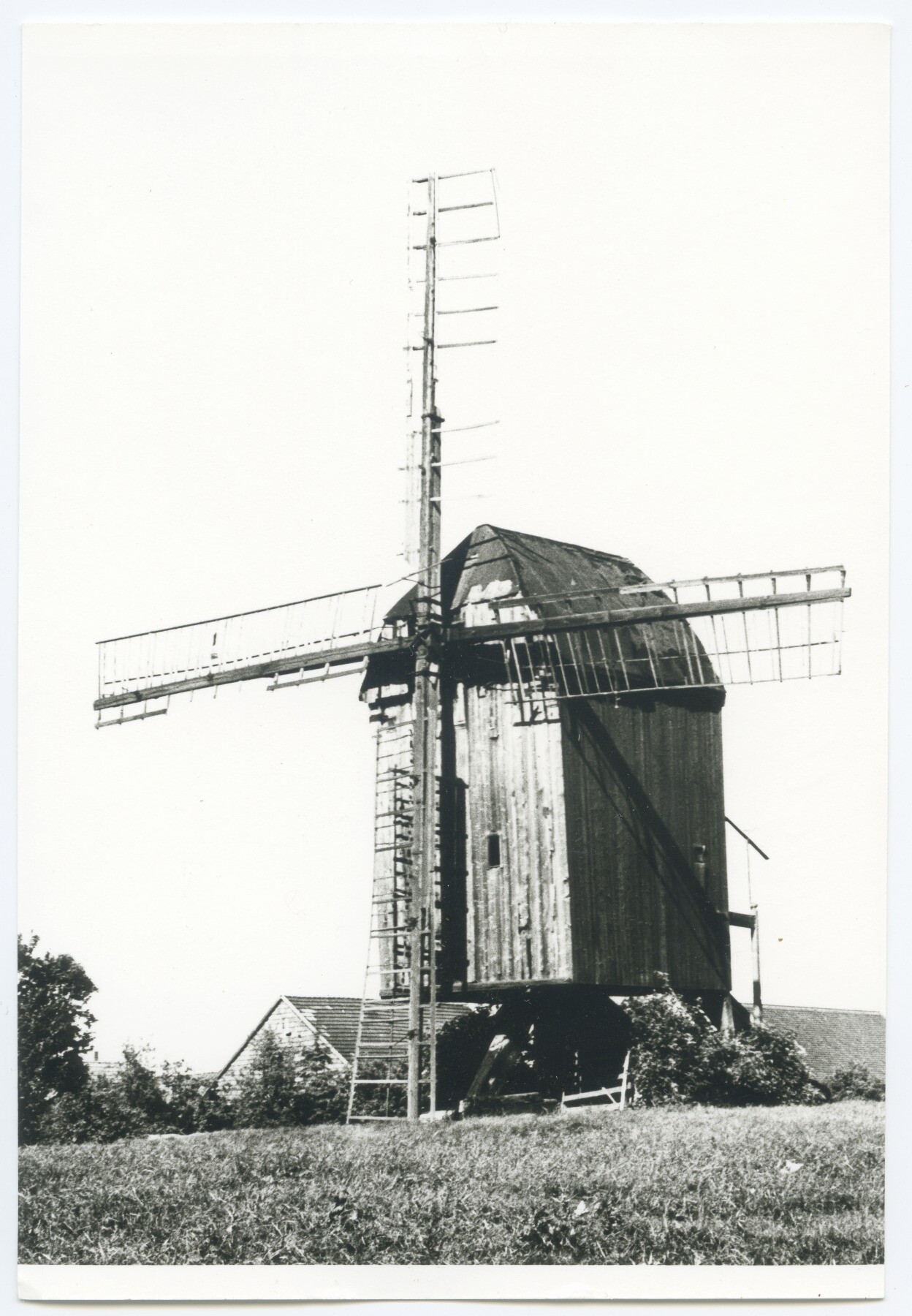 Bockwindmühle Kampe in Danstedt (Historische Mühle von Sanssouci CC BY-NC-ND)