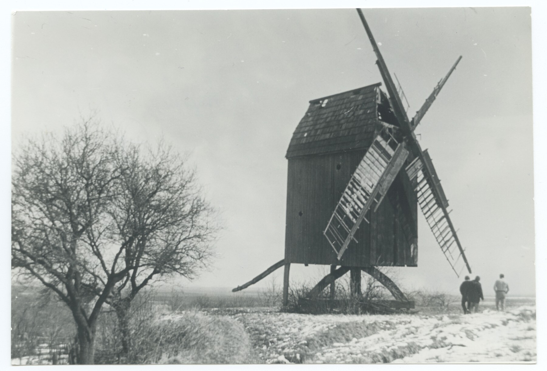 Bockwindmühle Hakeborn 1 (Historische Mühle von Sanssouci CC BY-NC-ND)
