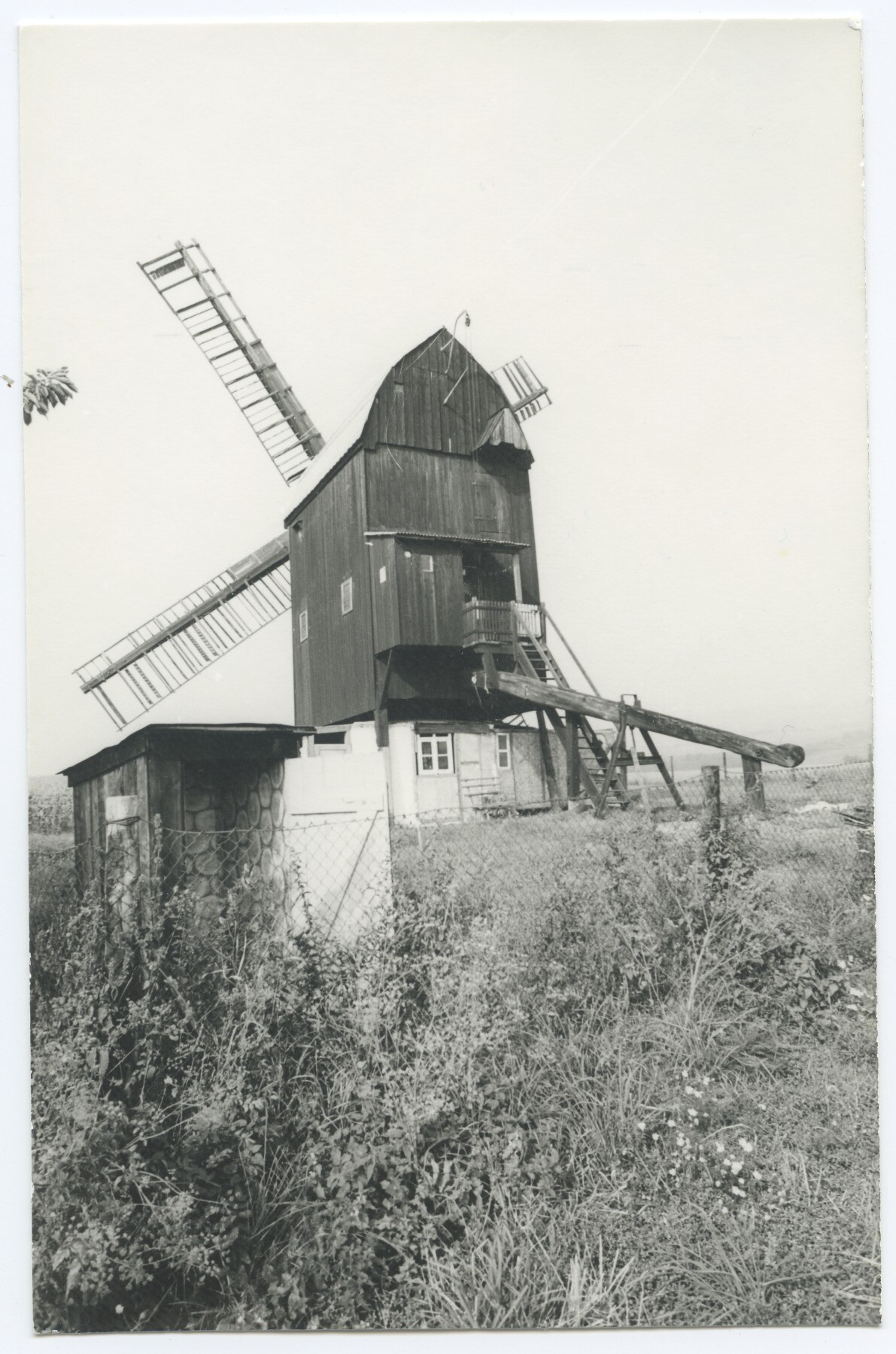 Bockwindmühle Sargstedt (Historische Mühle von Sanssouci CC BY-NC-ND)