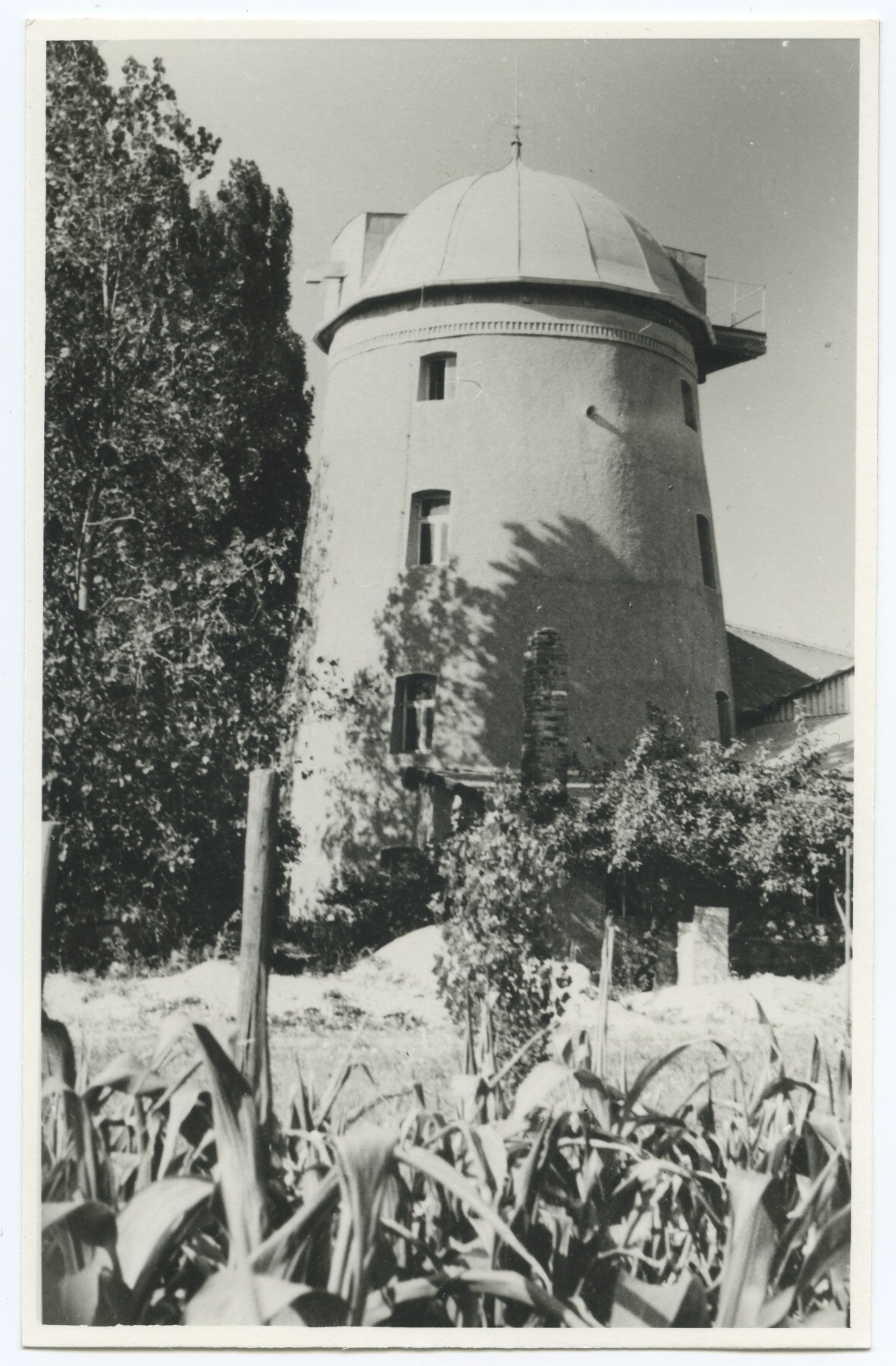 Turmholländerwindmühle Richter in Mockrehna (Historische Mühle von Sanssouci CC BY-NC-ND)