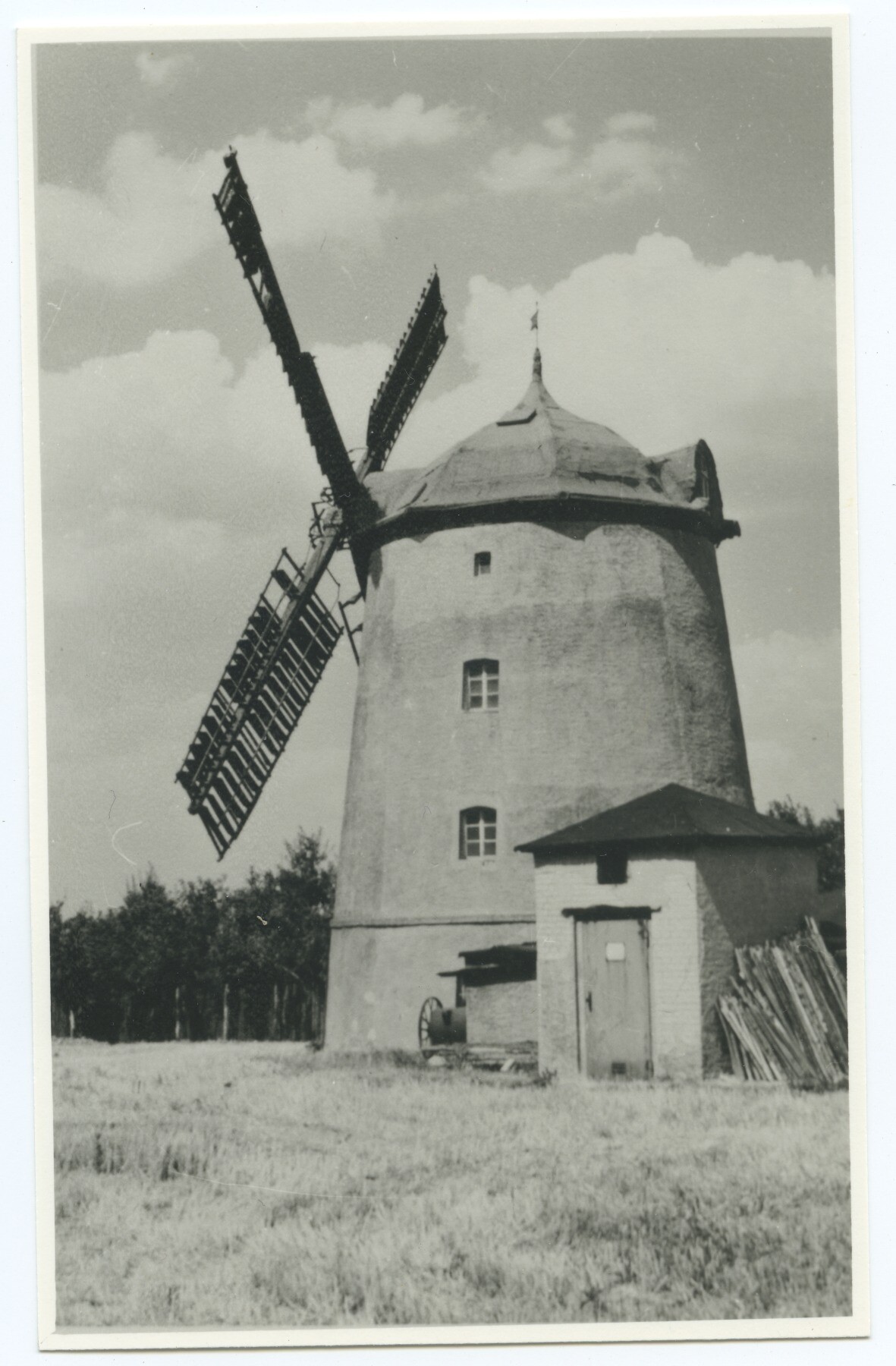 Turmholländerwindmühle Paschwitz - Mühle Friedemann (Historische Mühle von Sanssouci CC BY-NC-ND)