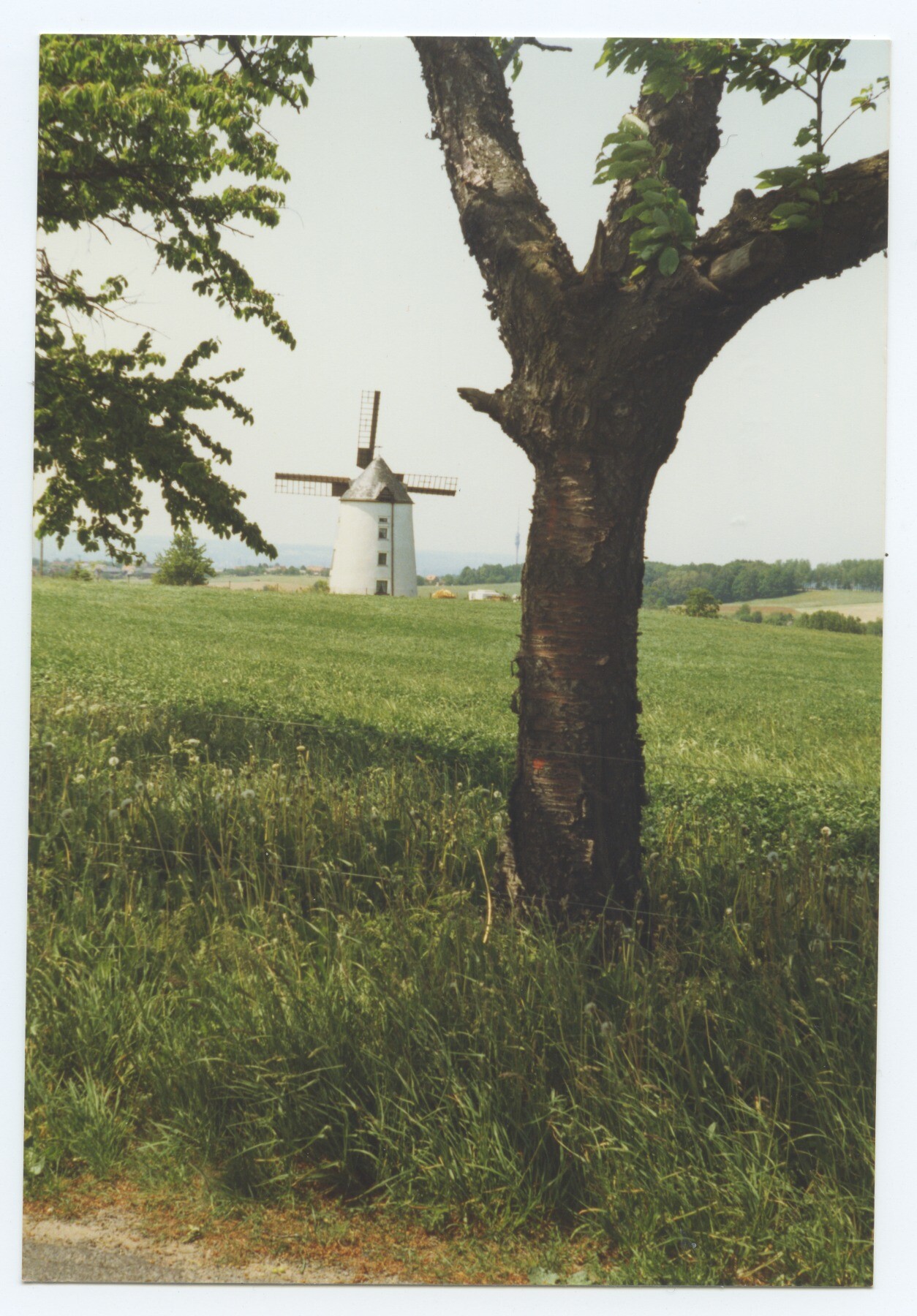 Turmholländerwindmühle Reitzendorf (Historische Mühle von Sanssouci CC BY-NC-ND)
