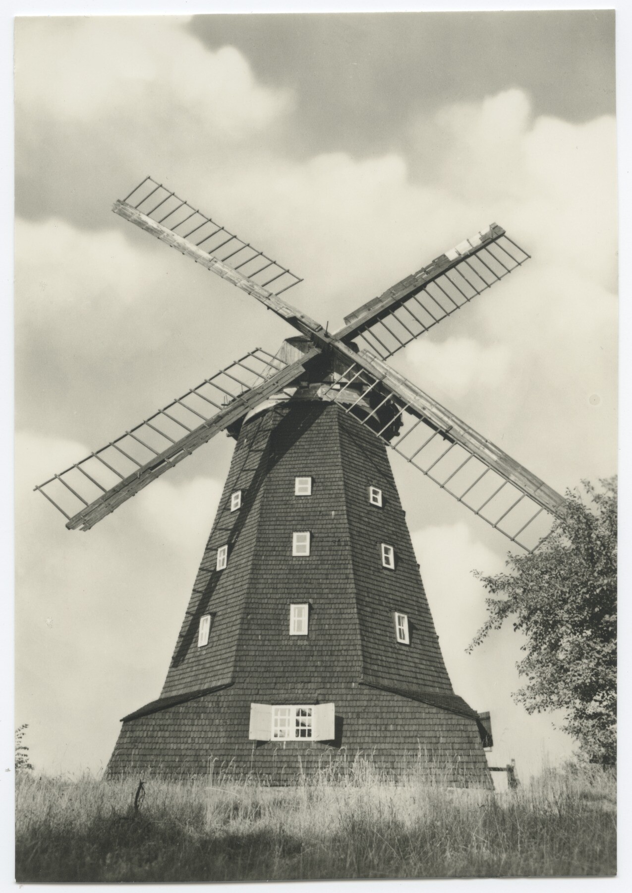 Hochholländerwindmühle in Krakow am See (Historische Mühle von Sanssouci CC BY-NC-ND)
