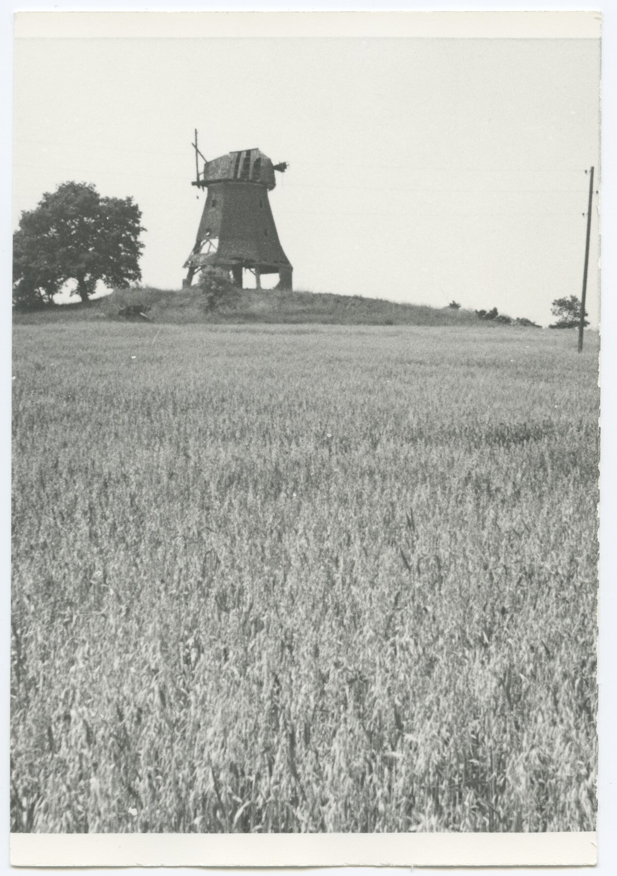 Erdholländerwindmühle Neuburg (Historische Mühle von Sanssouci CC BY-NC-ND)