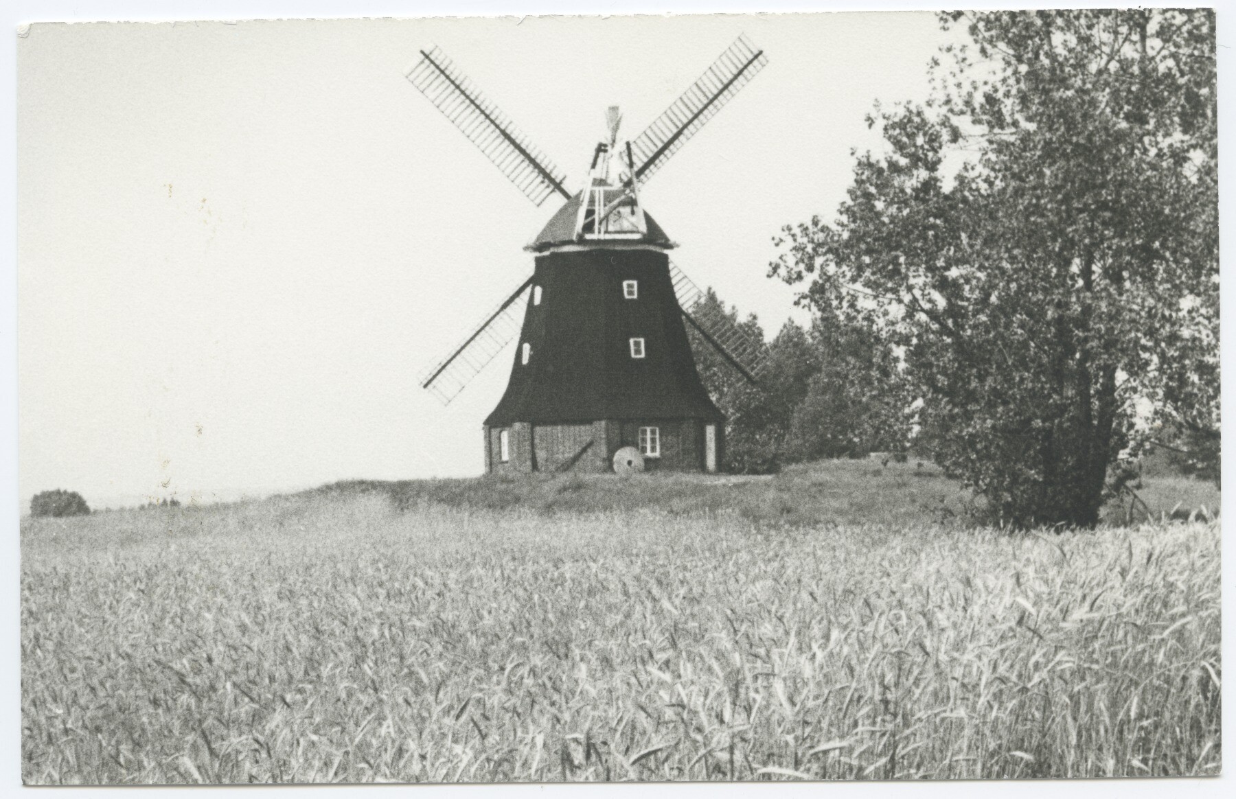 Erdholländerwindmühle Stove (Historische Mühle von Sanssouci CC BY-NC-ND)
