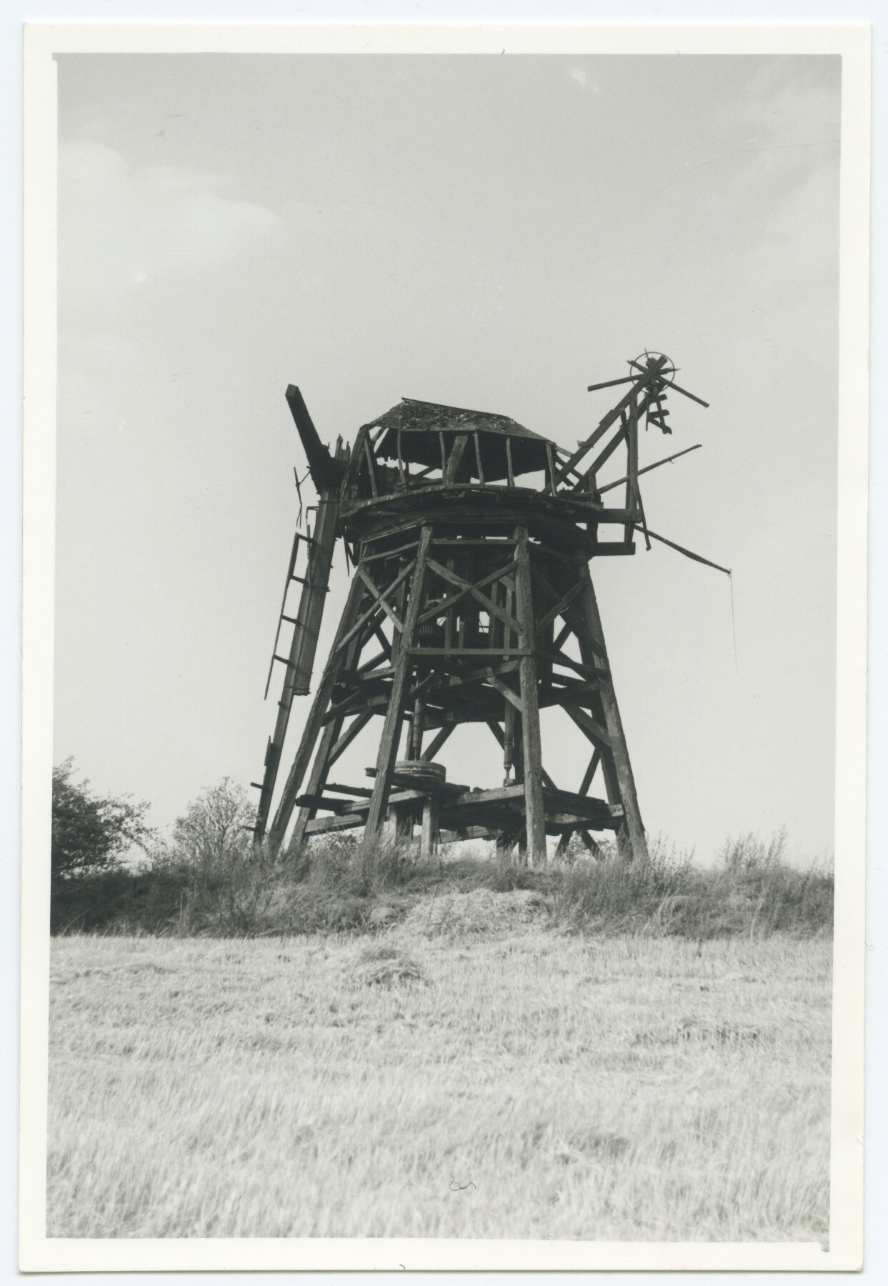 Erdholländerwindmühle Zahrensdorf (Historische Mühle von Sanssouci CC BY-NC-ND)