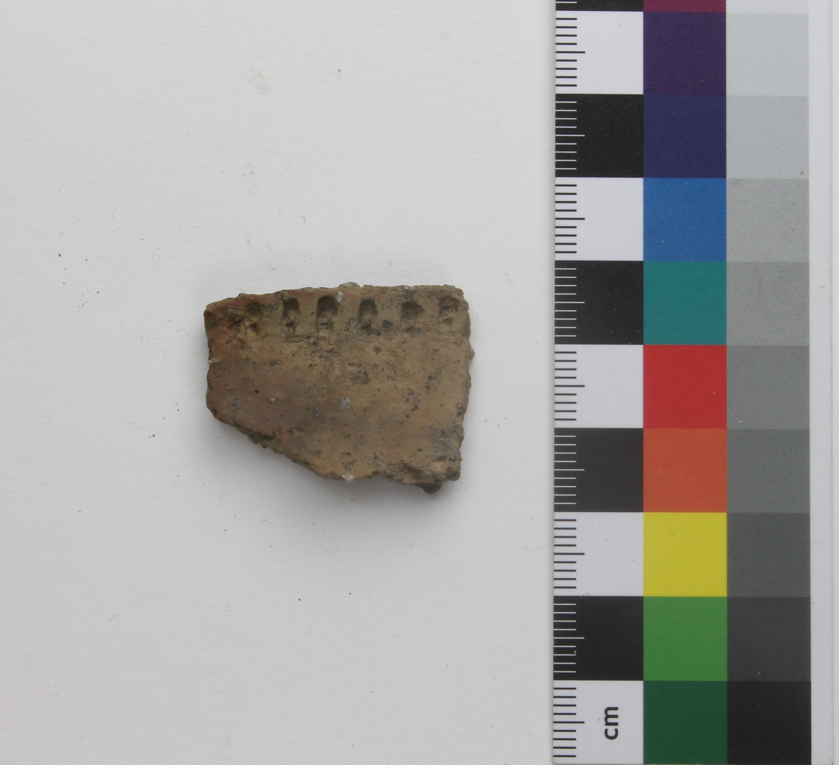 kleiner Rand eines Trichterbechers (Museum Angermünde CC BY-NC-SA)