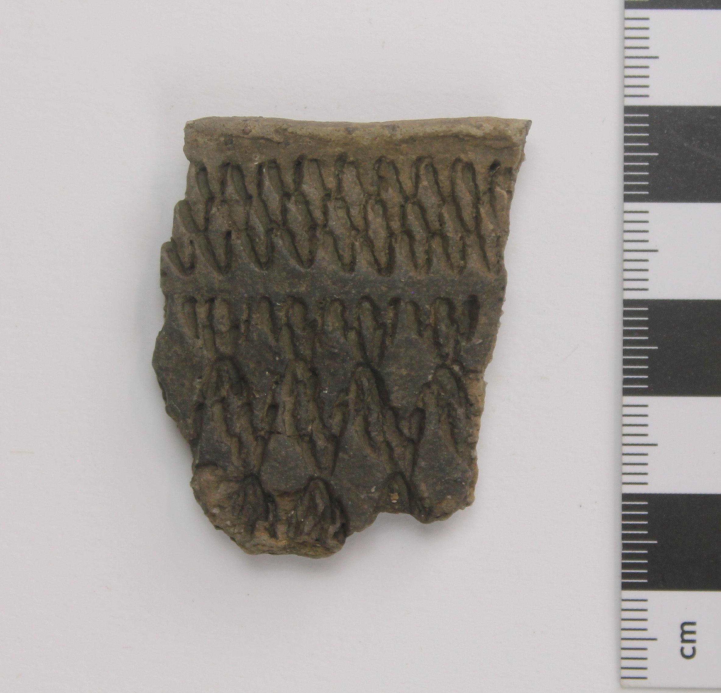 Randscherbe eines Gefäßes der havelländischen Kultur (Museum Angermünde CC BY-NC-SA)