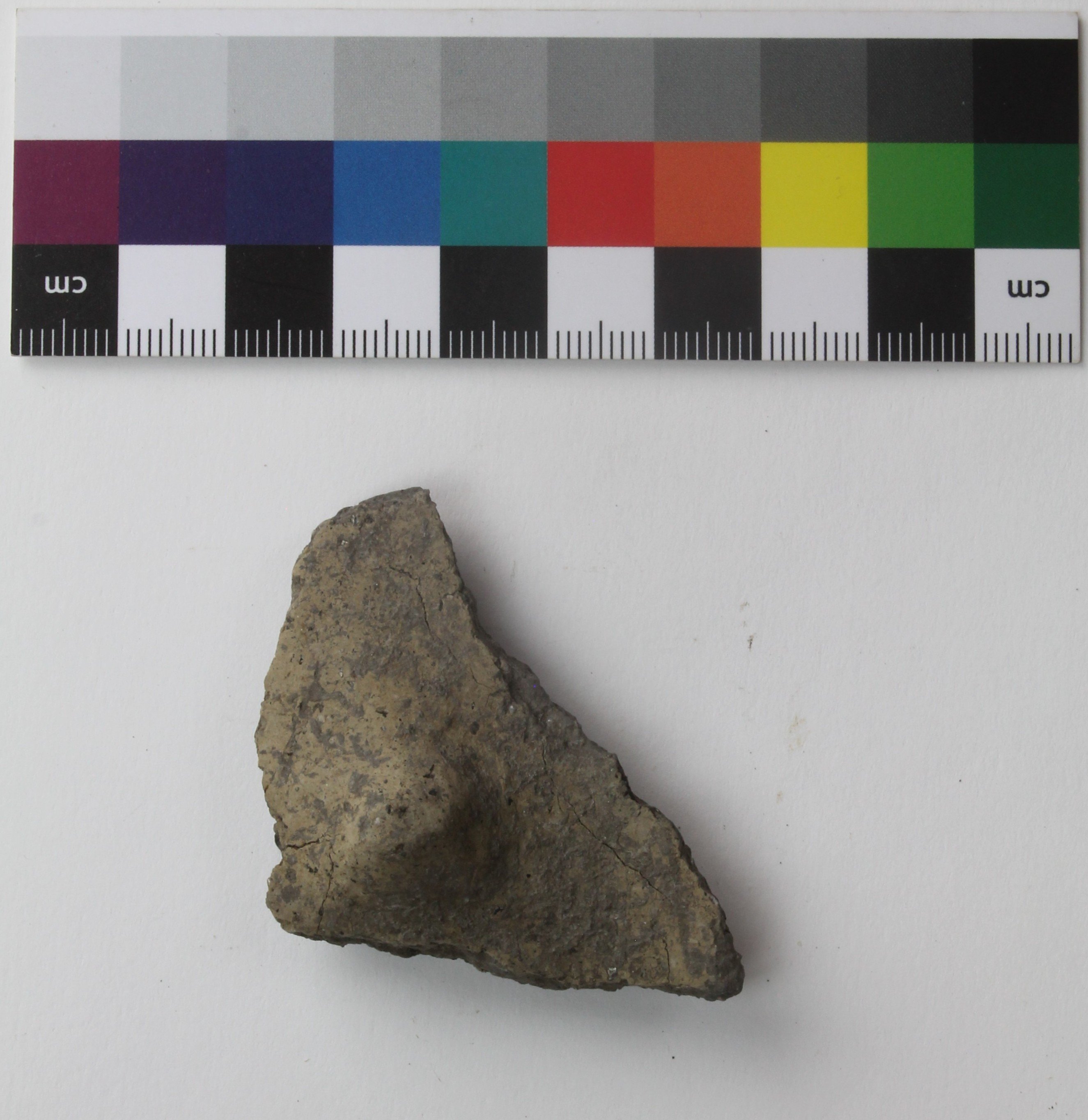 Scherbe einer neolithischen Flasche aus Flemsdorf (Museum Angermünde CC BY-NC-SA)