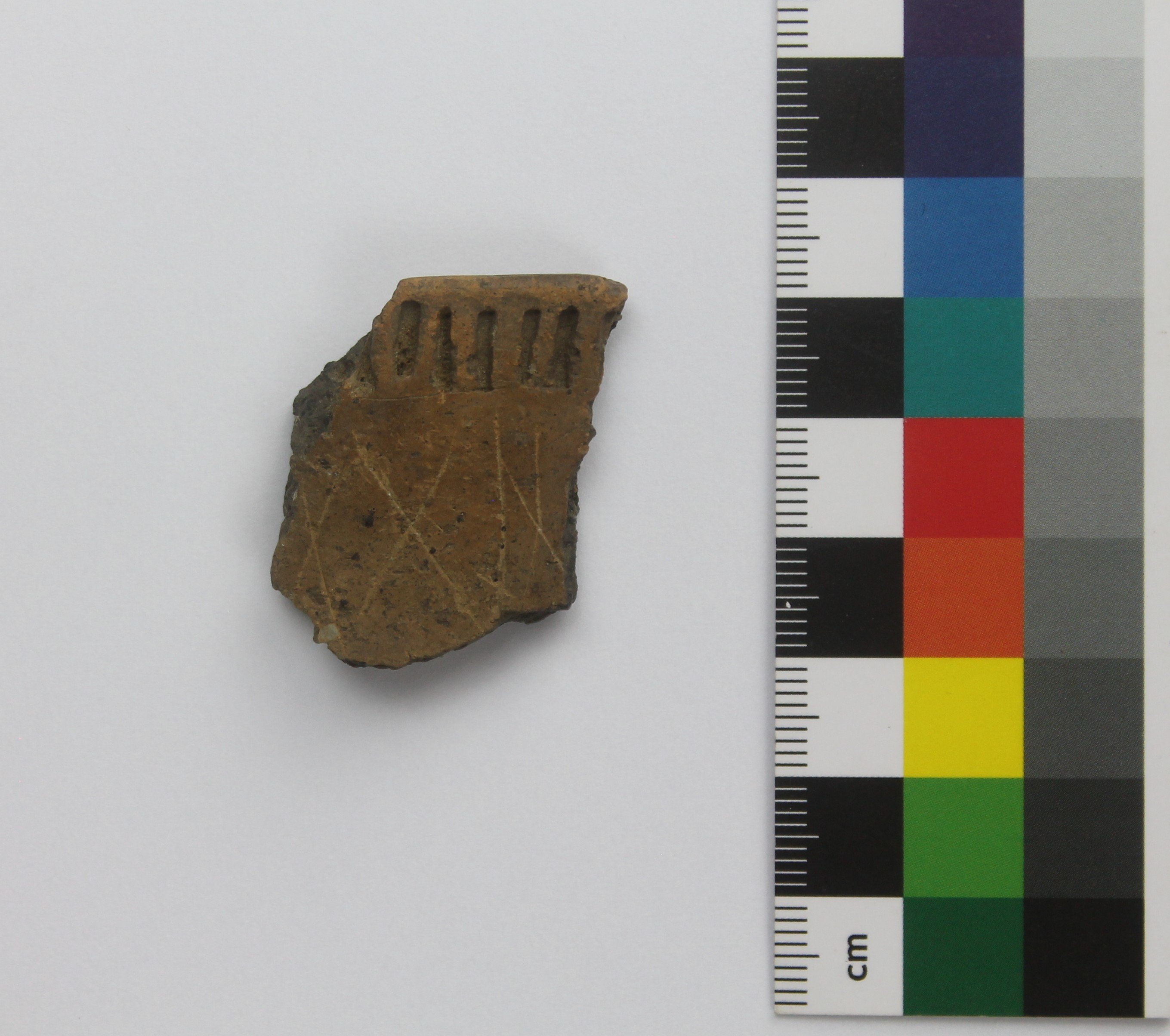 Rand eines Trichterbechers (Museum Angermünde CC BY-NC-SA)