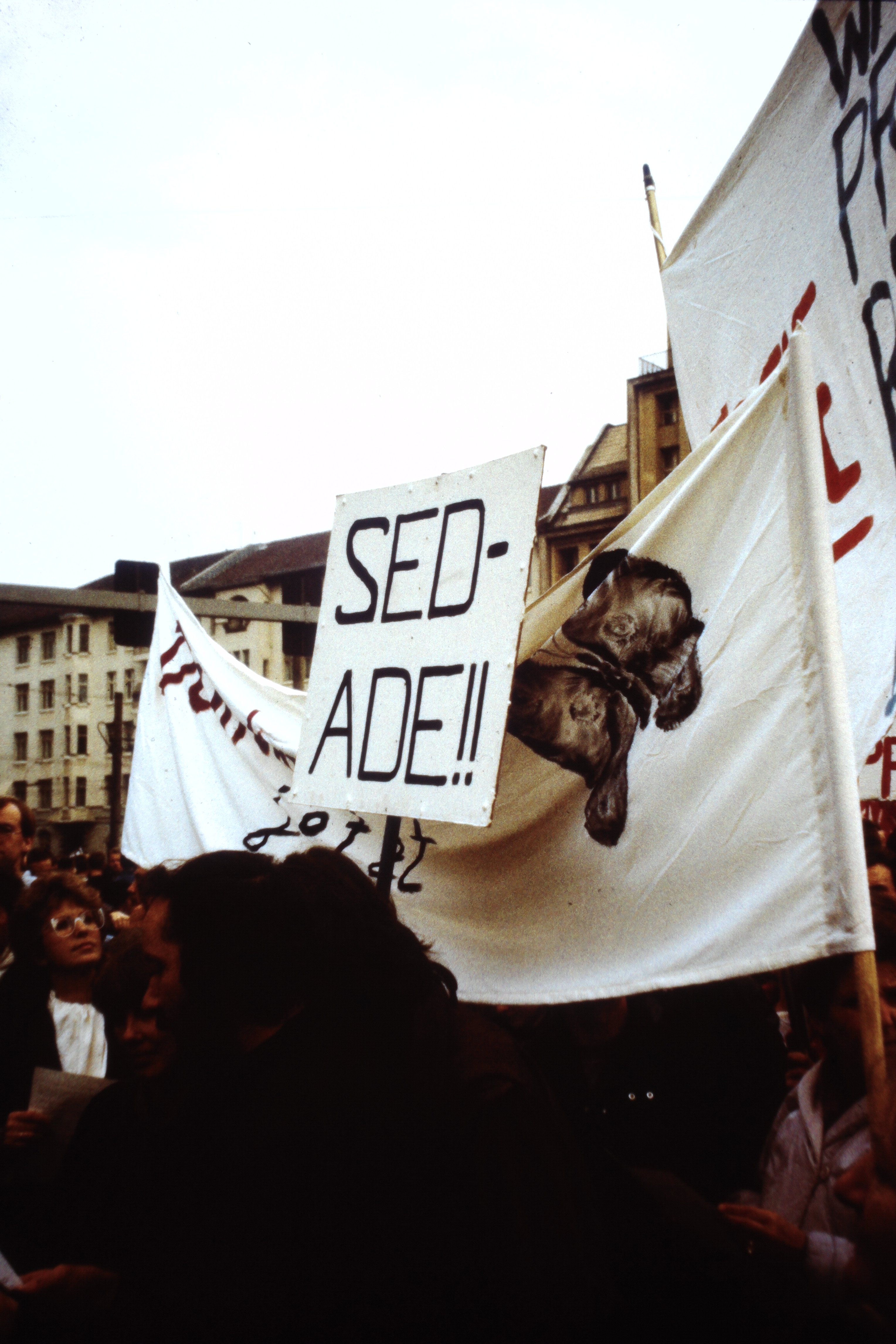Großdemonstration in Ost-Berlin am 04. November 1989: Plakat mit der Aufschrift: "SED - ADE!!" (DDR Geschichtsmuseum im Dokumentationszentrum Perleberg CC BY-SA)