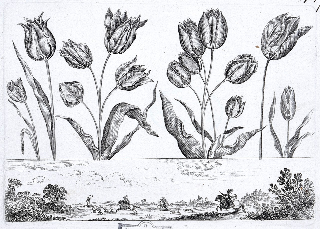Blumenreihe (Tulpen) und Landschaftsfries mit Jagdszene (Stiftung Wredowsche Zeichenschule Brandenburg/Havel CC BY-NC-SA)