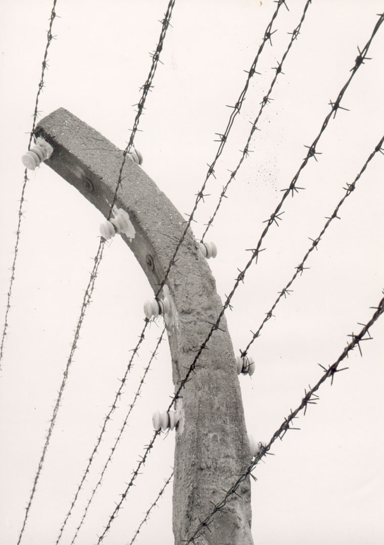 Stacheldrahtumzäunung des Lagers (1961)   (Gedenkstätte und Museum Sachsenhausen CC BY-NC-SA)