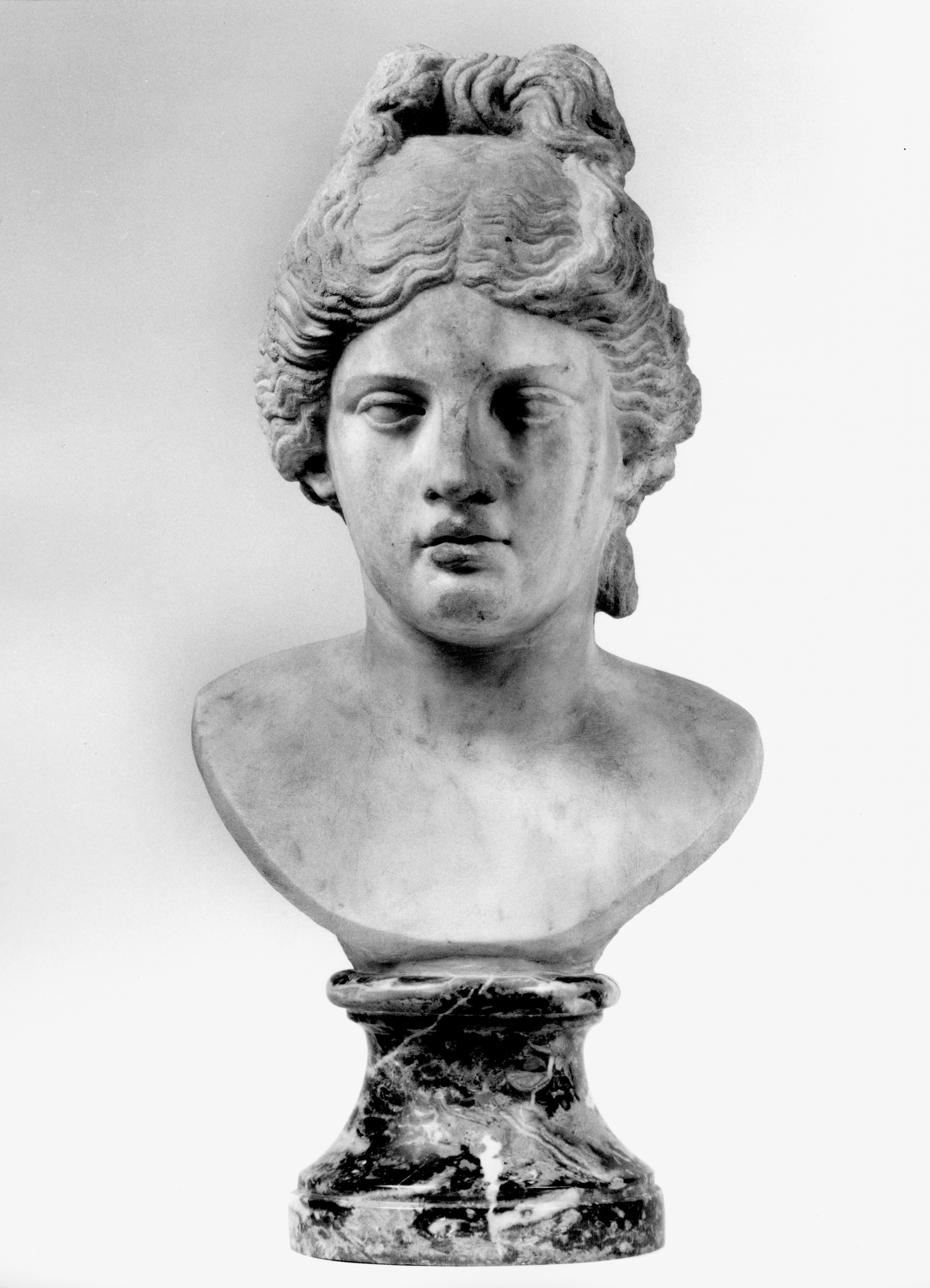 Kopf der Aphrodite auf neuzeitlicher Büste, Skulpt.slg. 417. (Stiftung Preußische Schlösser und Gärten Berlin-Brandenburg CC BY-NC-SA)