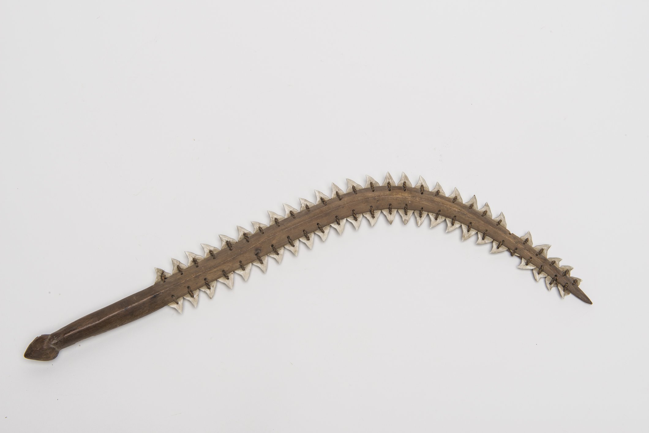 D00310 Schwert mit Haizähnen (Übersee-Museum Bremen CC BY-SA)