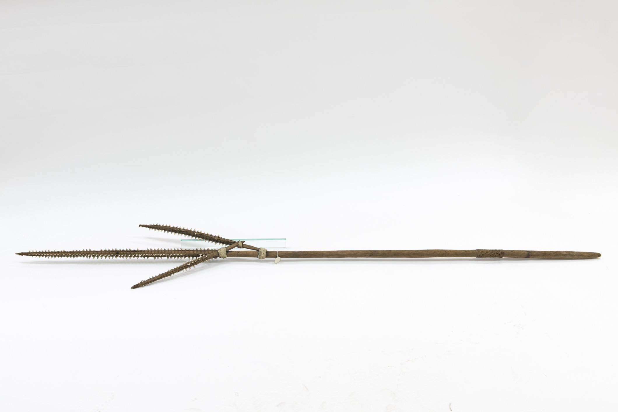 D01383 Waffe mit Haizähnen (Übersee-Museum Bremen CC BY-SA)