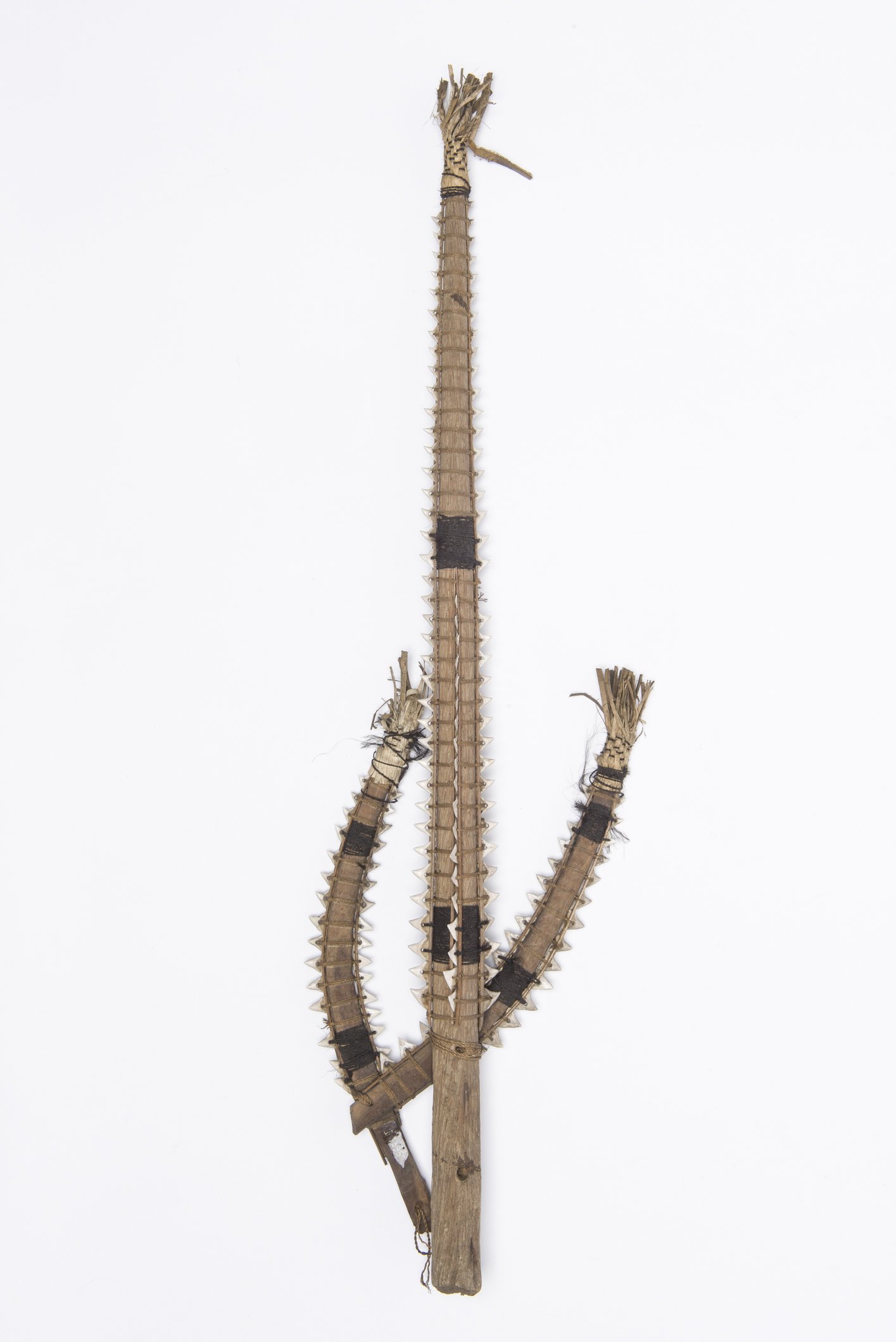 D01395 Waffe mit Haizähnen (Übersee-Museum Bremen CC BY-SA)