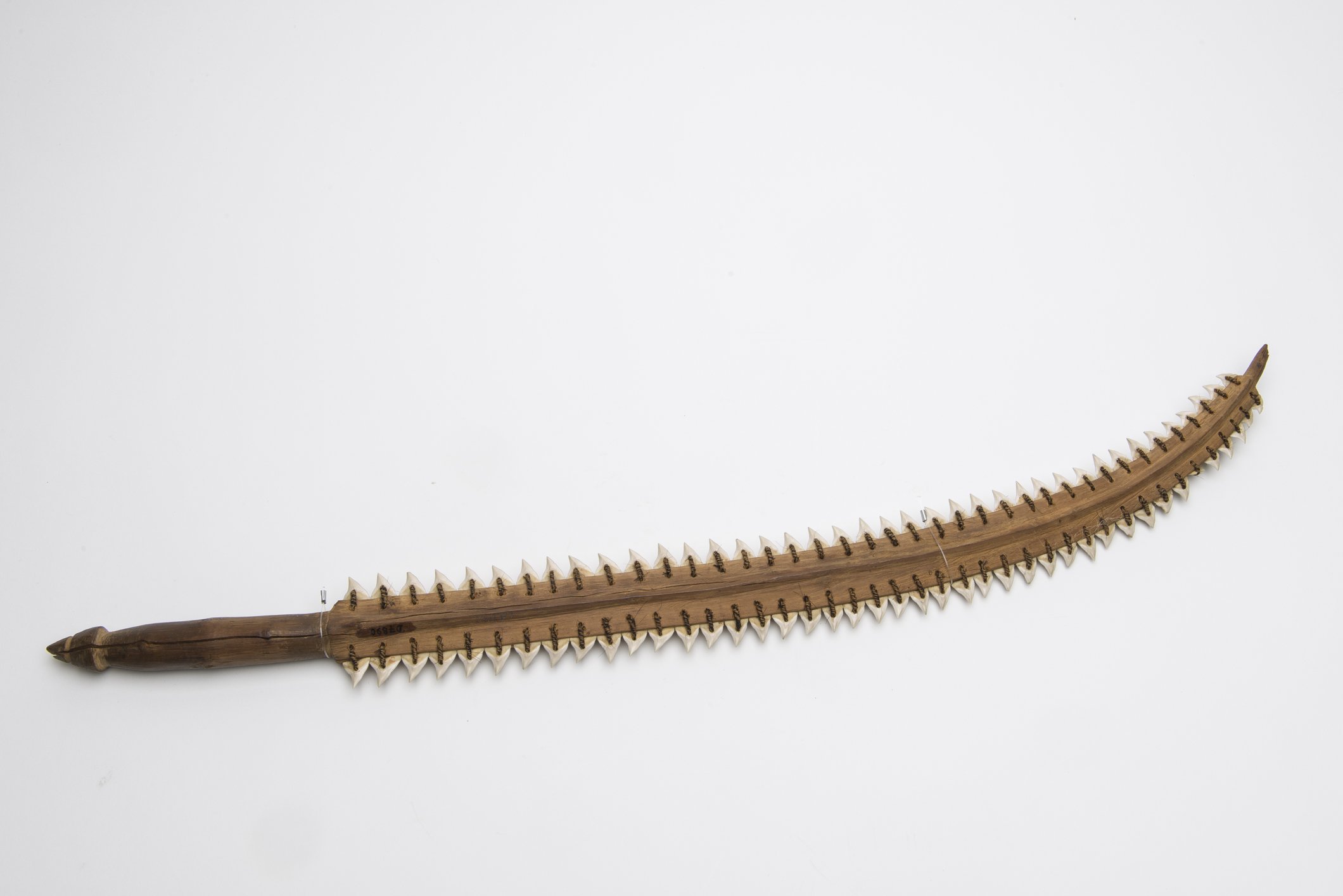 D07890 Waffe mit Haizähnen (Übersee-Museum Bremen CC BY-SA)
