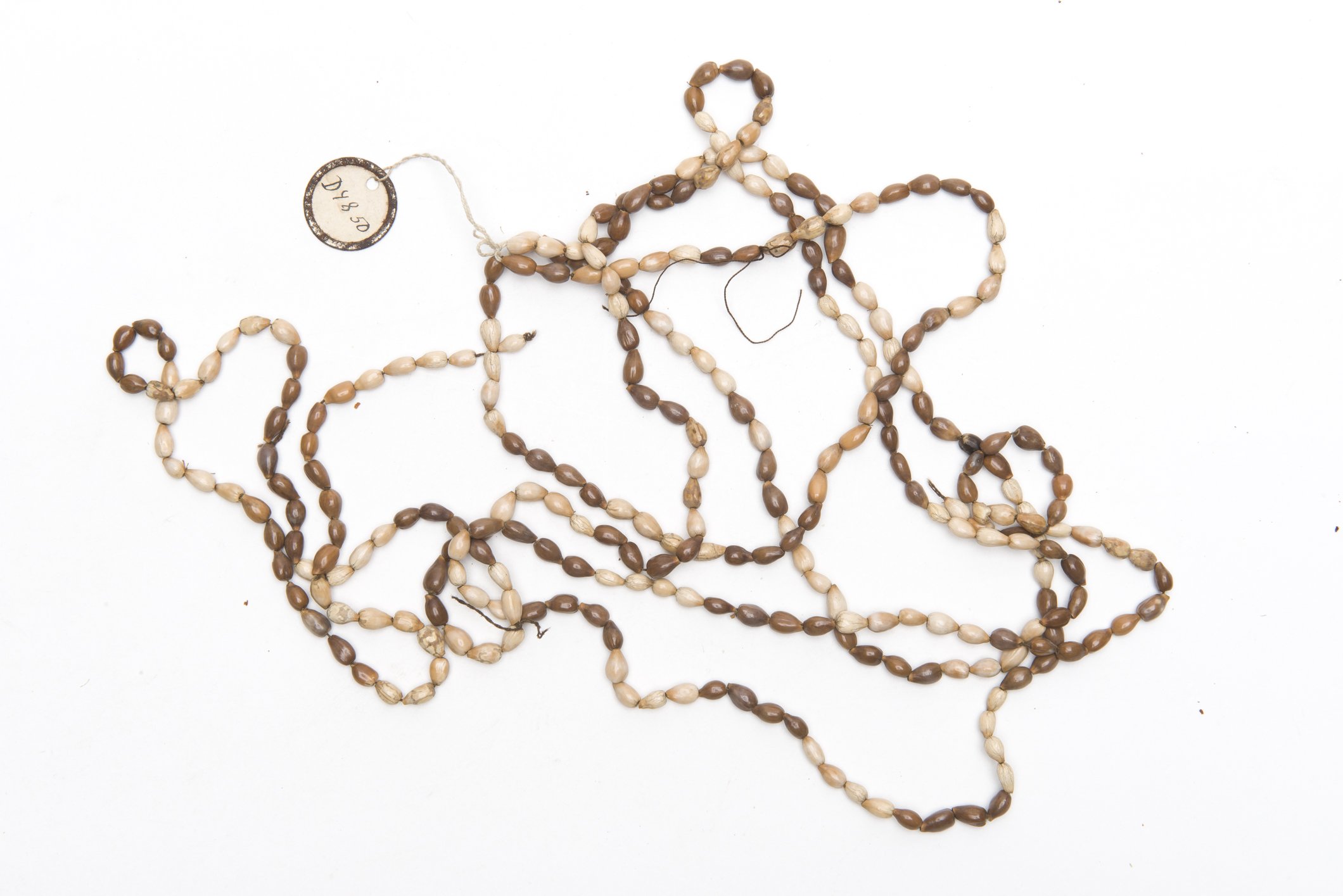 D04850 Halskette | ula (Übersee-Museum Bremen CC BY-SA)