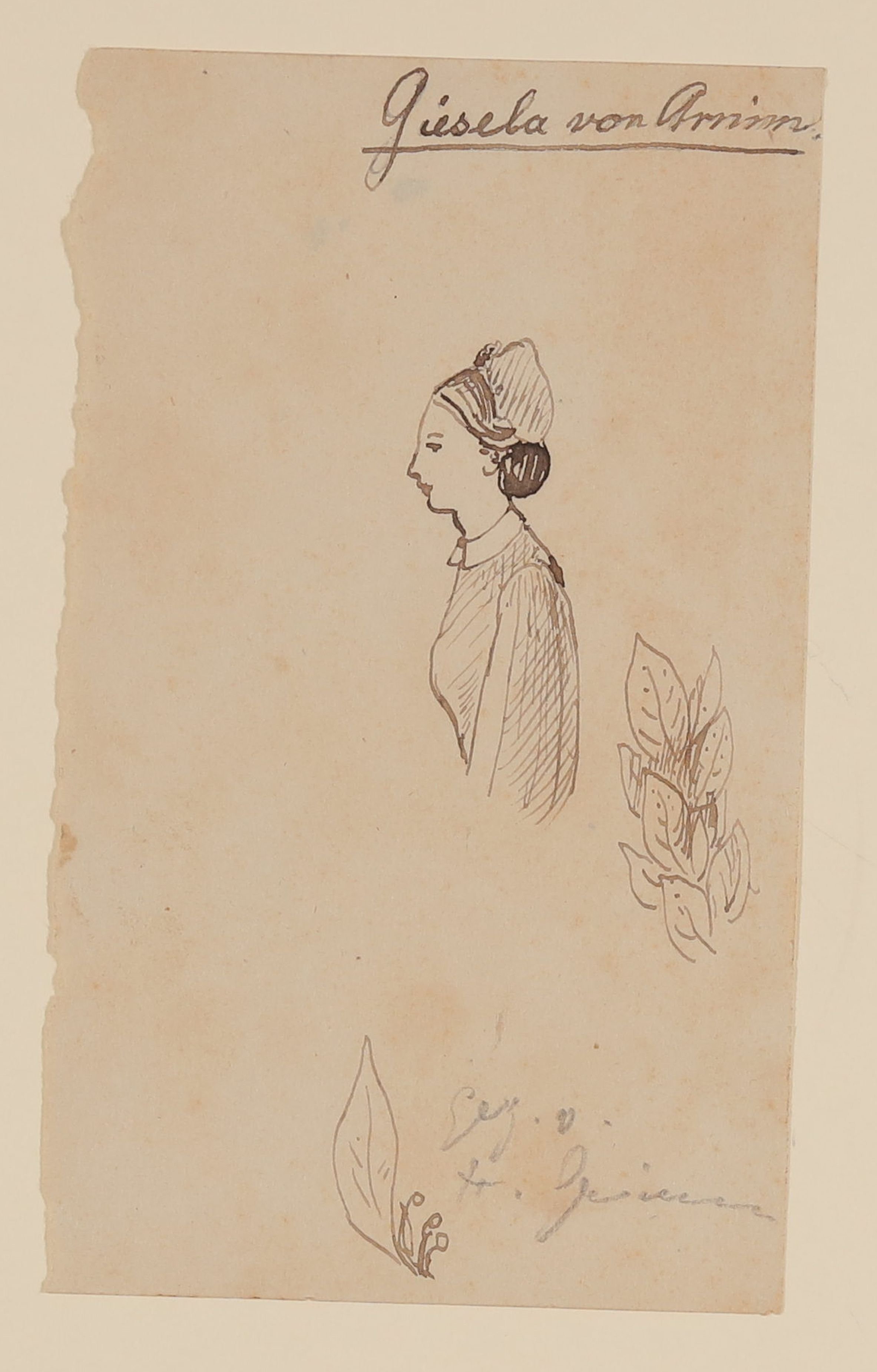 Weibliche Halbfigur, Blätter [aus einer Mappe mit Skizzenblättern von Gisela von Arnim und Herman Grimm] (Freies Deutsches Hochstift CC BY-NC-SA)