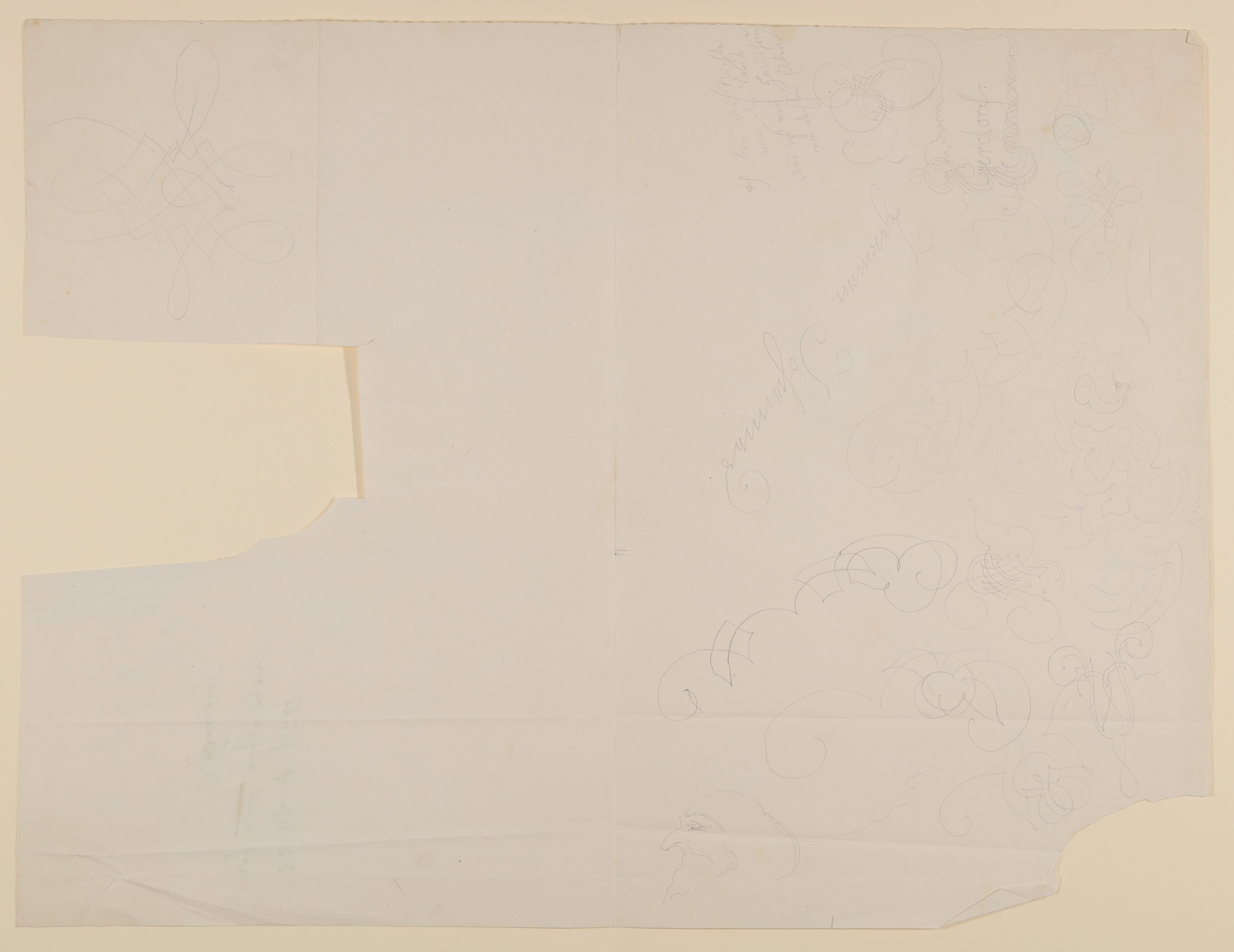 Skizzenblatt mit Schreibmeisterschnörkeln und 1 karikaturhaften Kopfstudie [aus einer Mappe mit Skizzenblättern von Gisela von Arnim und Herman Grimm] (Freies Deutsches Hochstift CC BY-NC-SA)