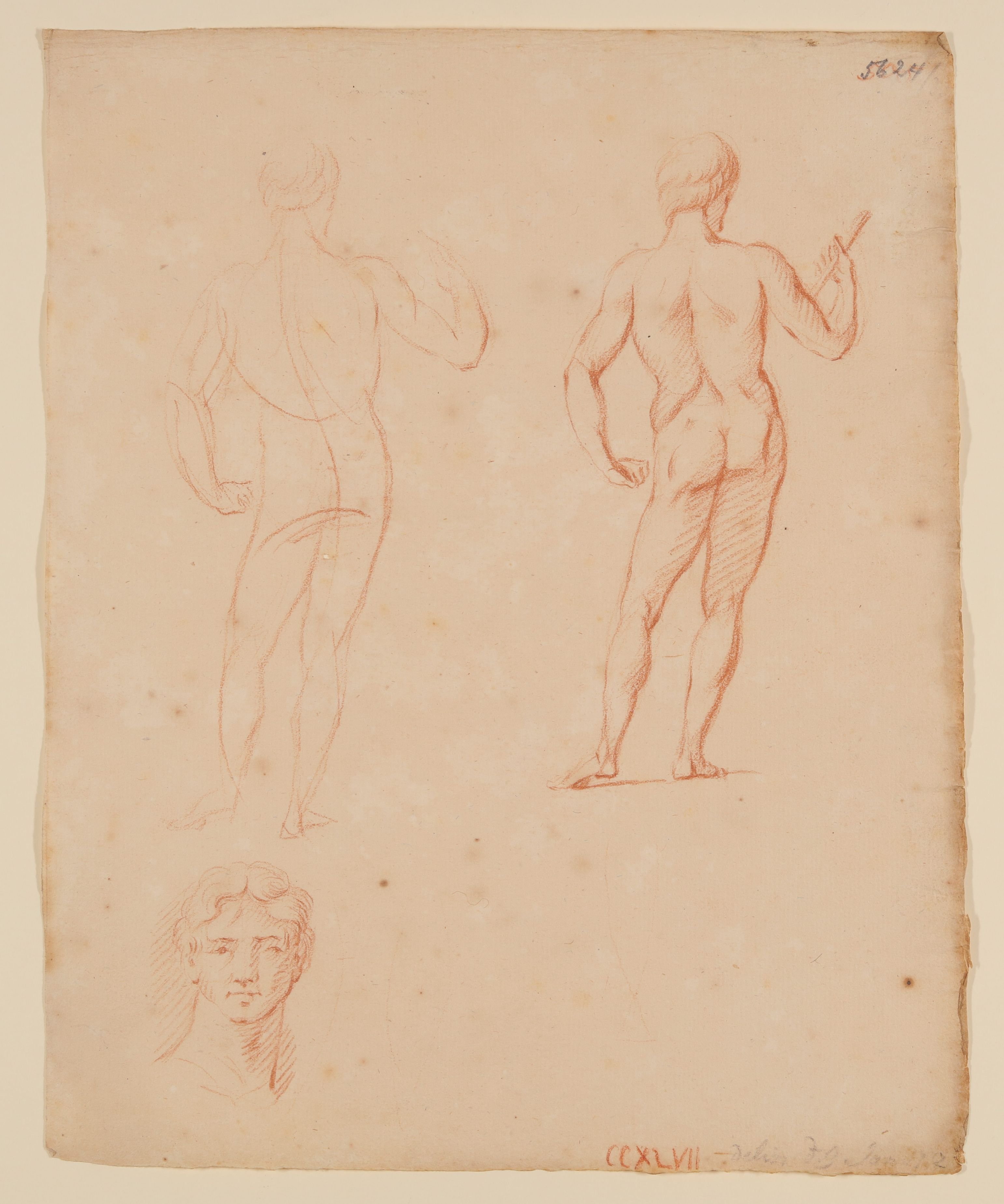 Zwei männliche Rückenakte und Kopf eines Jünglings (Freies Deutsches Hochstift CC BY-NC-SA)