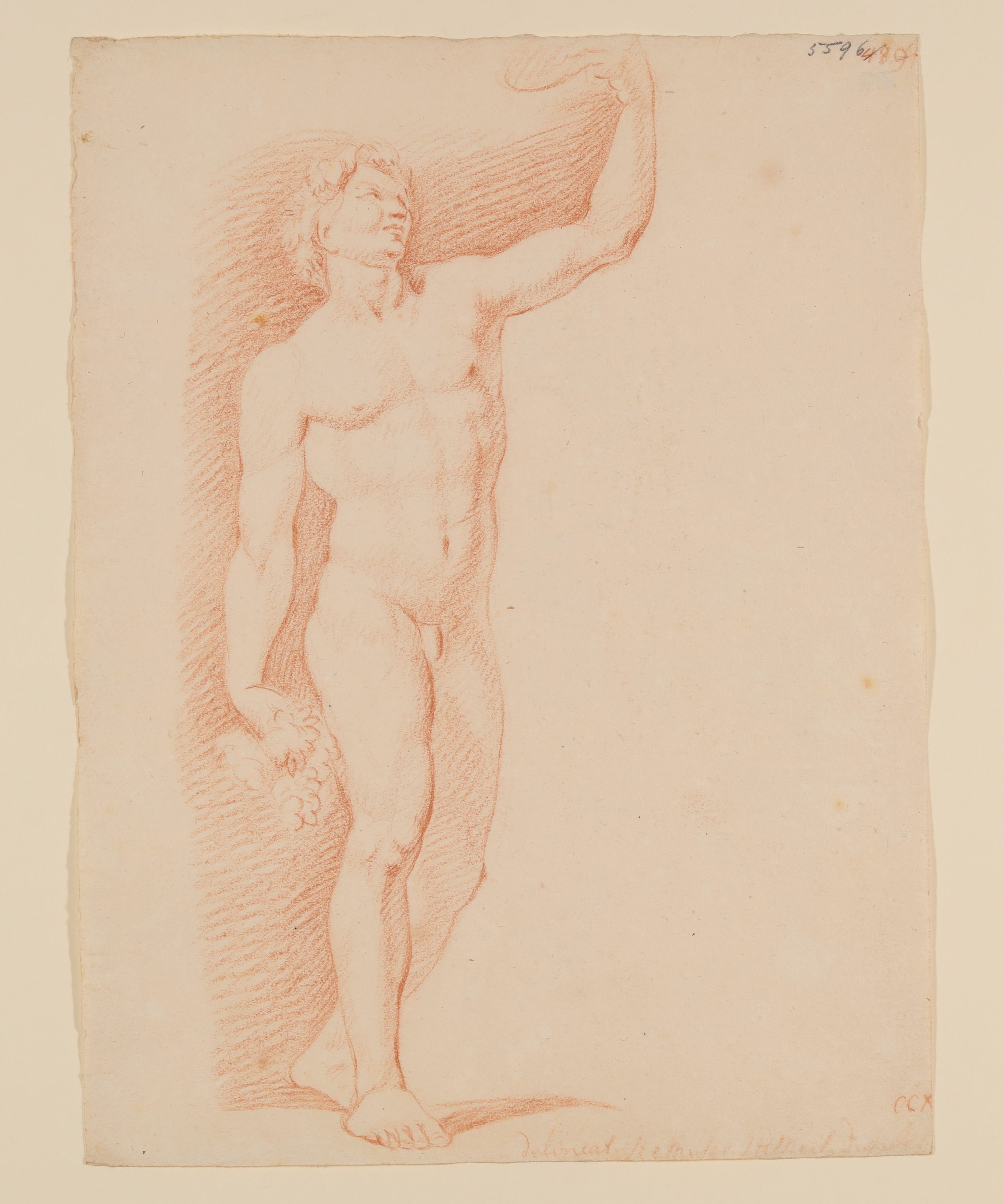 Bacchus mit erhobener Trinkschale (nach Jacopo Sansovino ?) (Freies Deutsches Hochstift CC BY-NC-SA)
