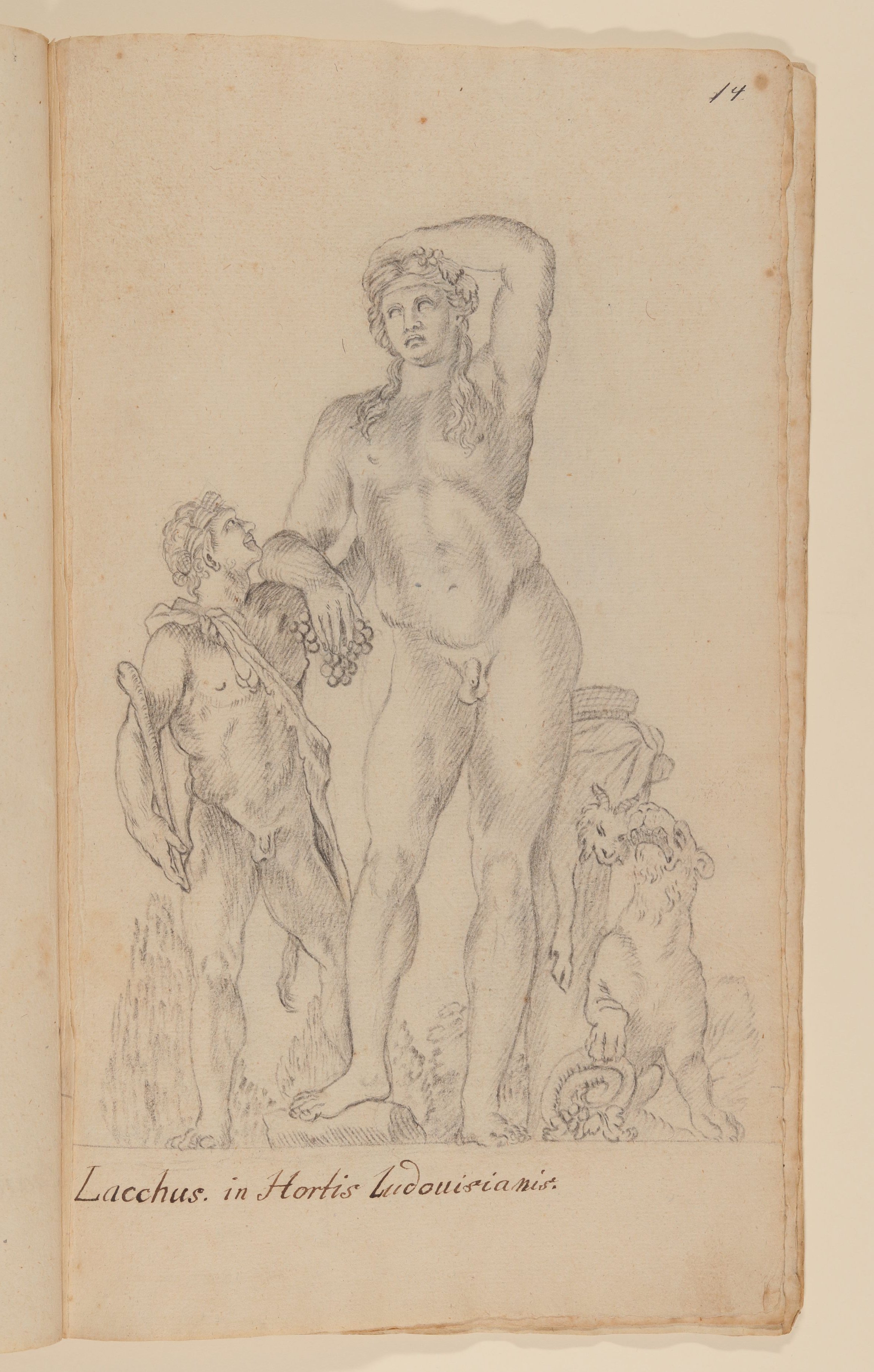 Bacchus Ludovisi [nach Tafel 49 von François Perriers "Icones et Segmenta Nobilium Signorum et Statuarum..." (1638)] (Freies Deutsches Hochstift CC BY-NC-SA)