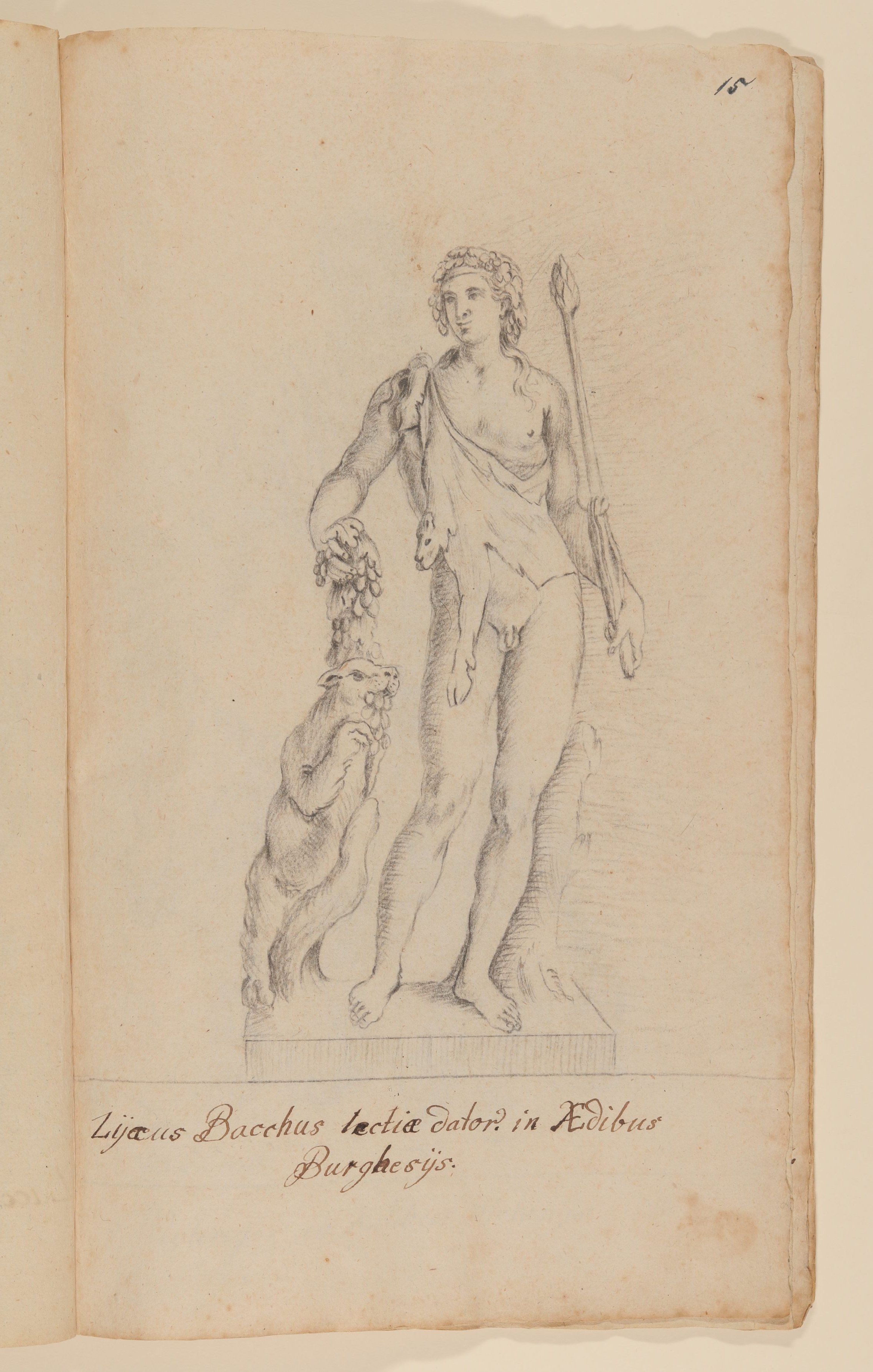 Bacchus Borghese [nach Tafel 46 von François Perriers "Icones et Segmenta Nobilium Signorum et Statuarum..." (1638)] (Freies Deutsches Hochstift CC BY-NC-SA)