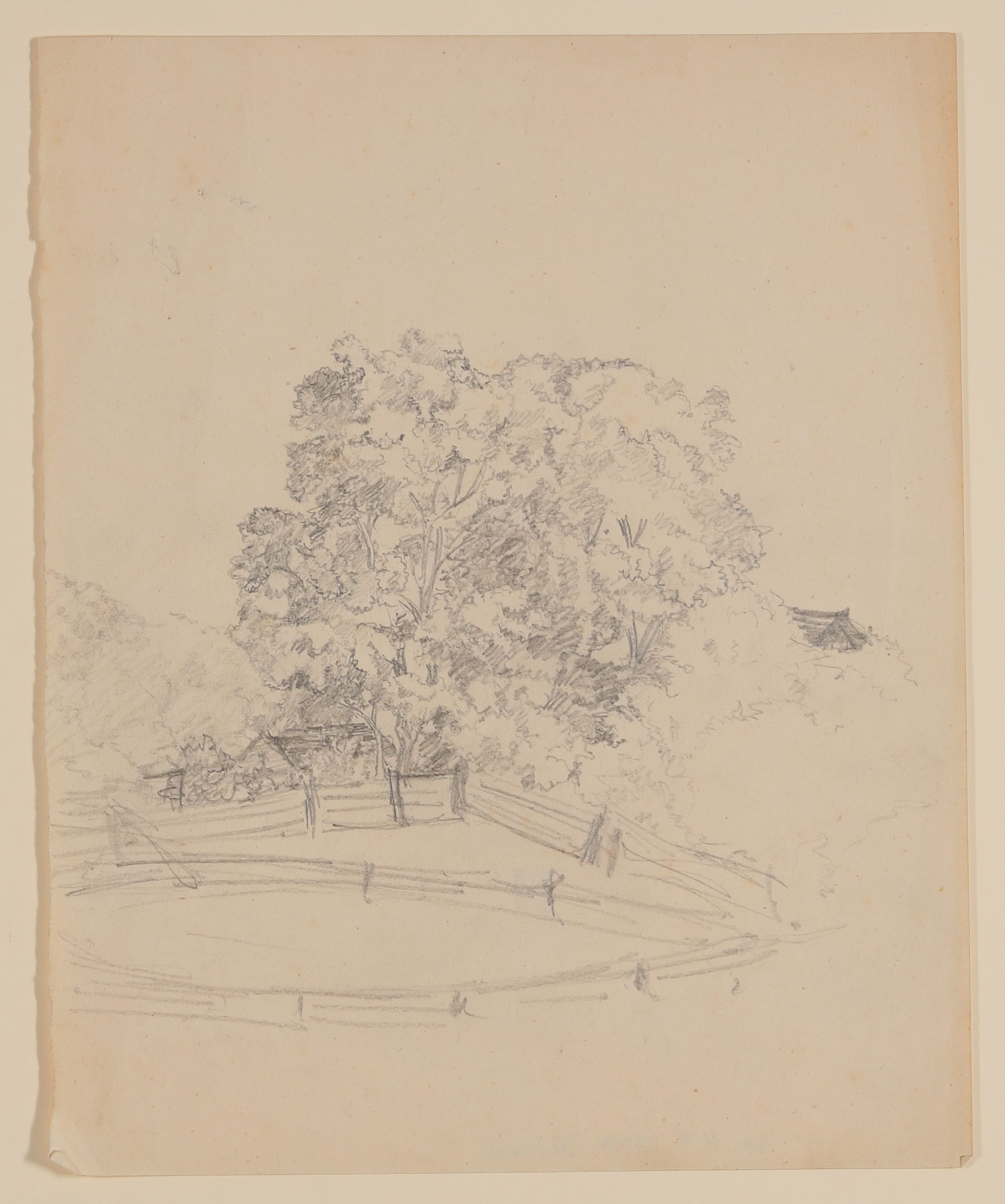 Weide vor Bäumen [lose einliegendes Blatt aus Maximiliane von Arnims Skizzenbuch mit Motiven aus Wiepersdorf und Rügen] (Freies Deutsches Hochstift CC BY-NC-SA)