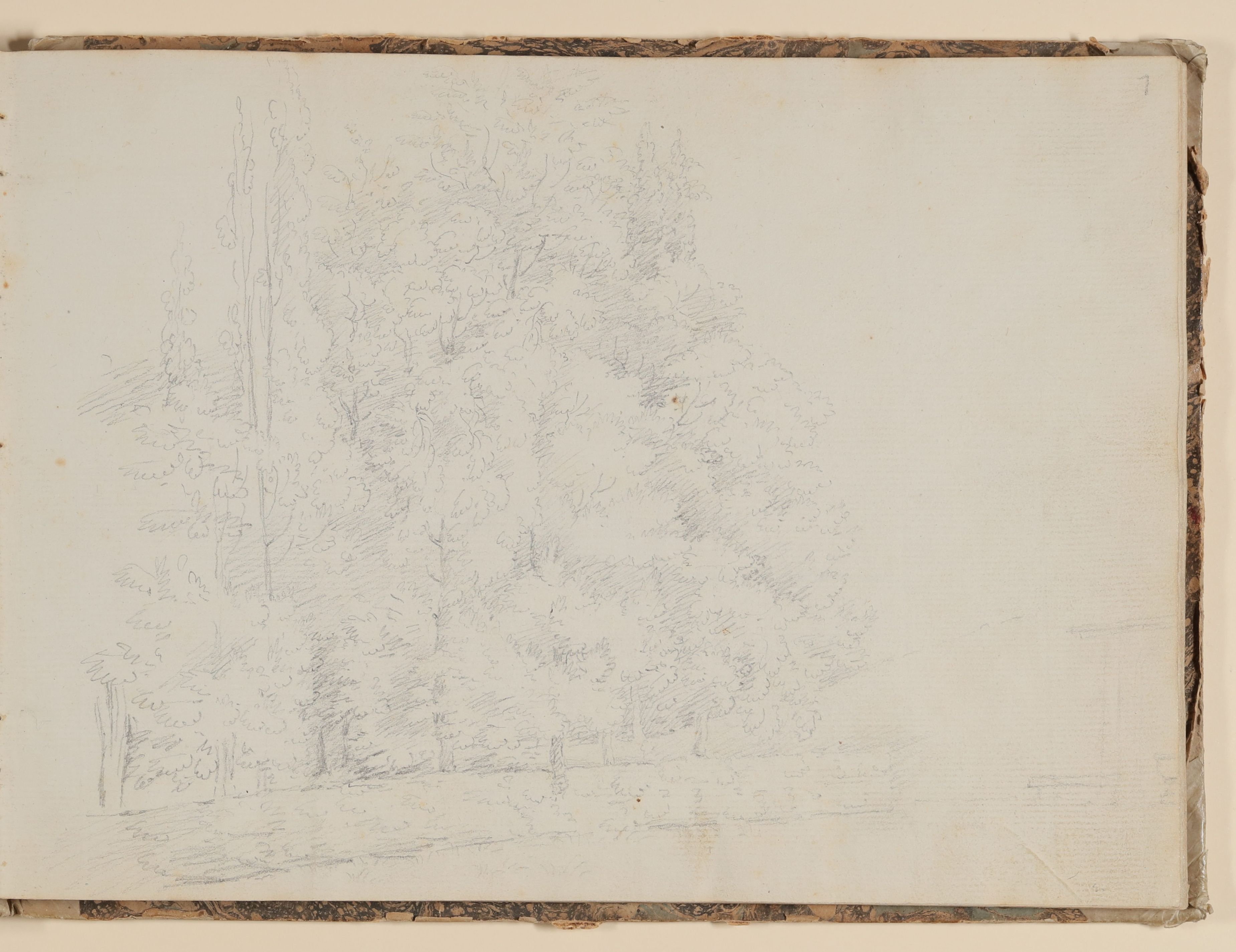 Baumgruppe in einem Park [aus einem Skizzenbuch der Rosette Städel, Blatt 1] (Freies Deutsches Hochstift CC BY-NC-SA)