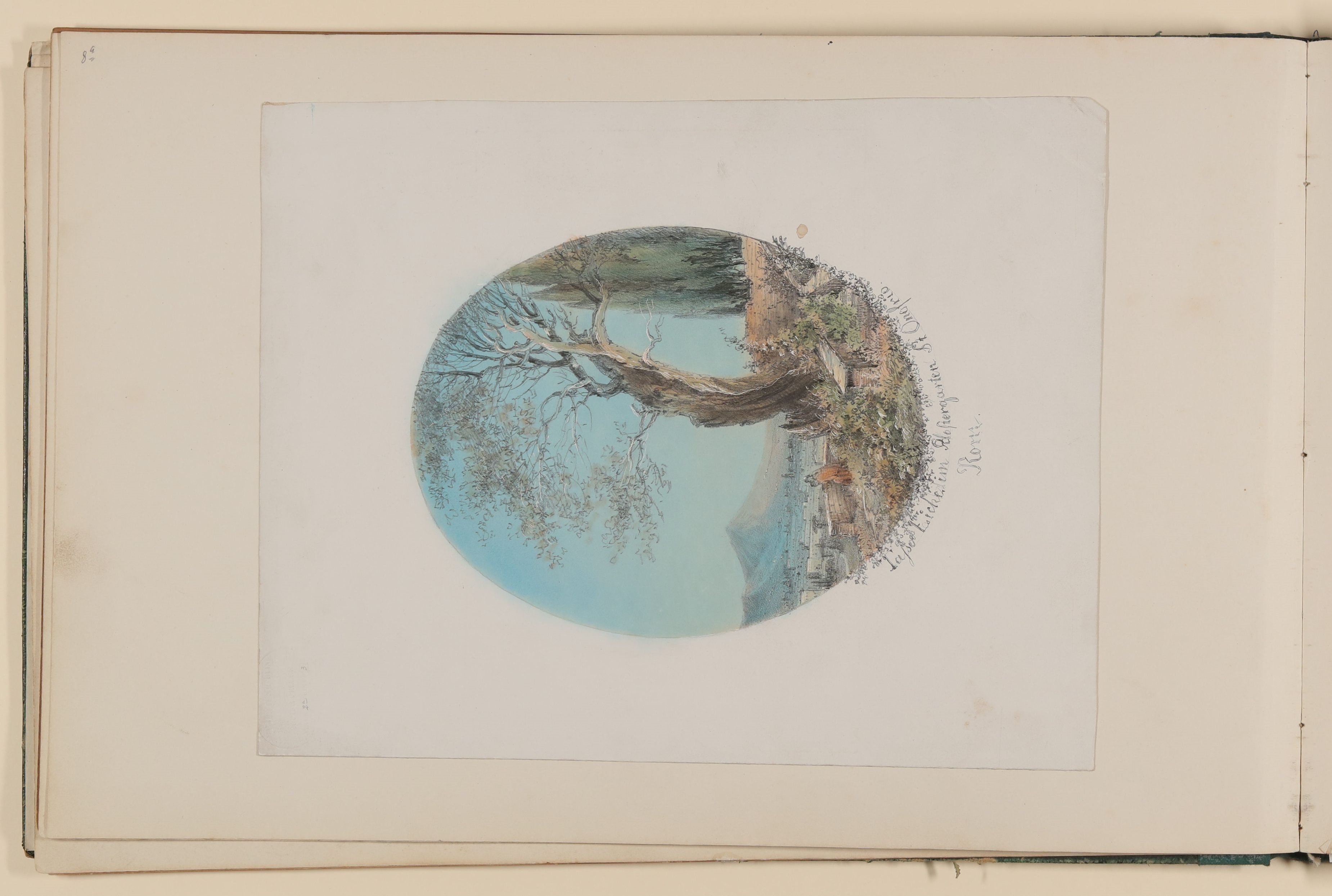 Die Tasso-Eiche im Klostergarten von St. Onofrio in Rom [aus einem Album aus dem Besitz der Bettine-Töchter] (Freies Deutsches Hochstift CC BY-NC-SA)