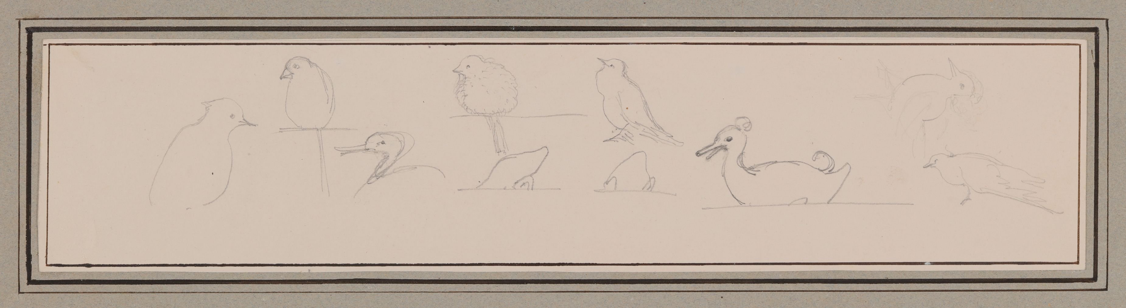 "Flüchtige Zeichnungen" von Vögeln [aus der "geblümten Kassette"] (Freies Deutsches Hochstift CC BY-NC-SA)