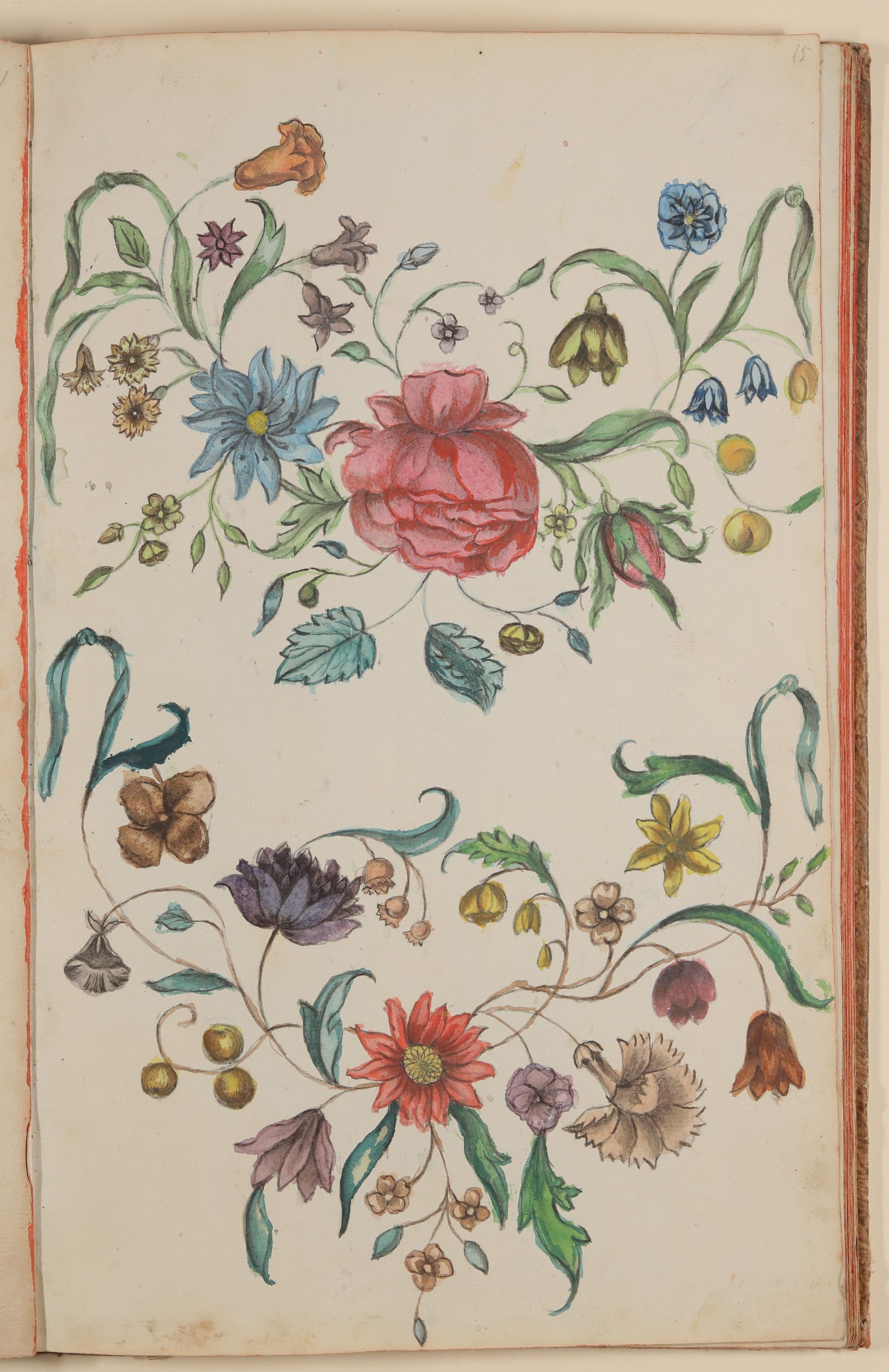 Zwei Blumenranken [aus einem Skizzenbuch der Marianne Franziska Seiffert von Klettenberg] (Freies Deutsches Hochstift CC BY-NC-SA)