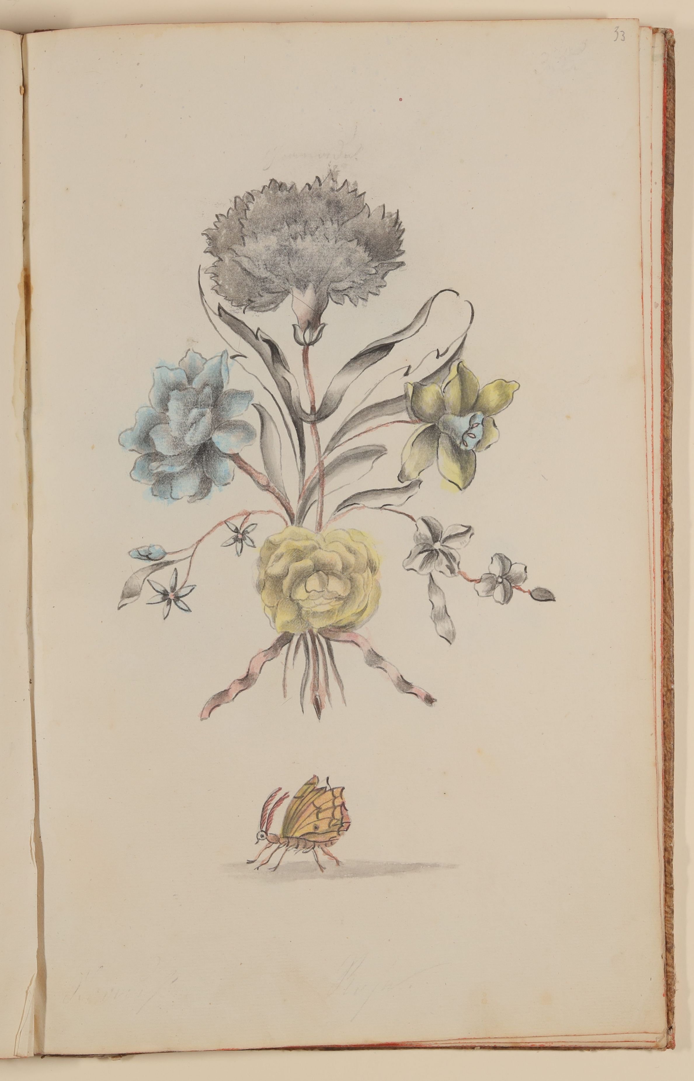 Blumenstrauß und Schmetterling [aus einem Skizzenbuch der Marianne Franziska Seiffert von Klettenberg] (Freies Deutsches Hochstift CC BY-NC-SA)