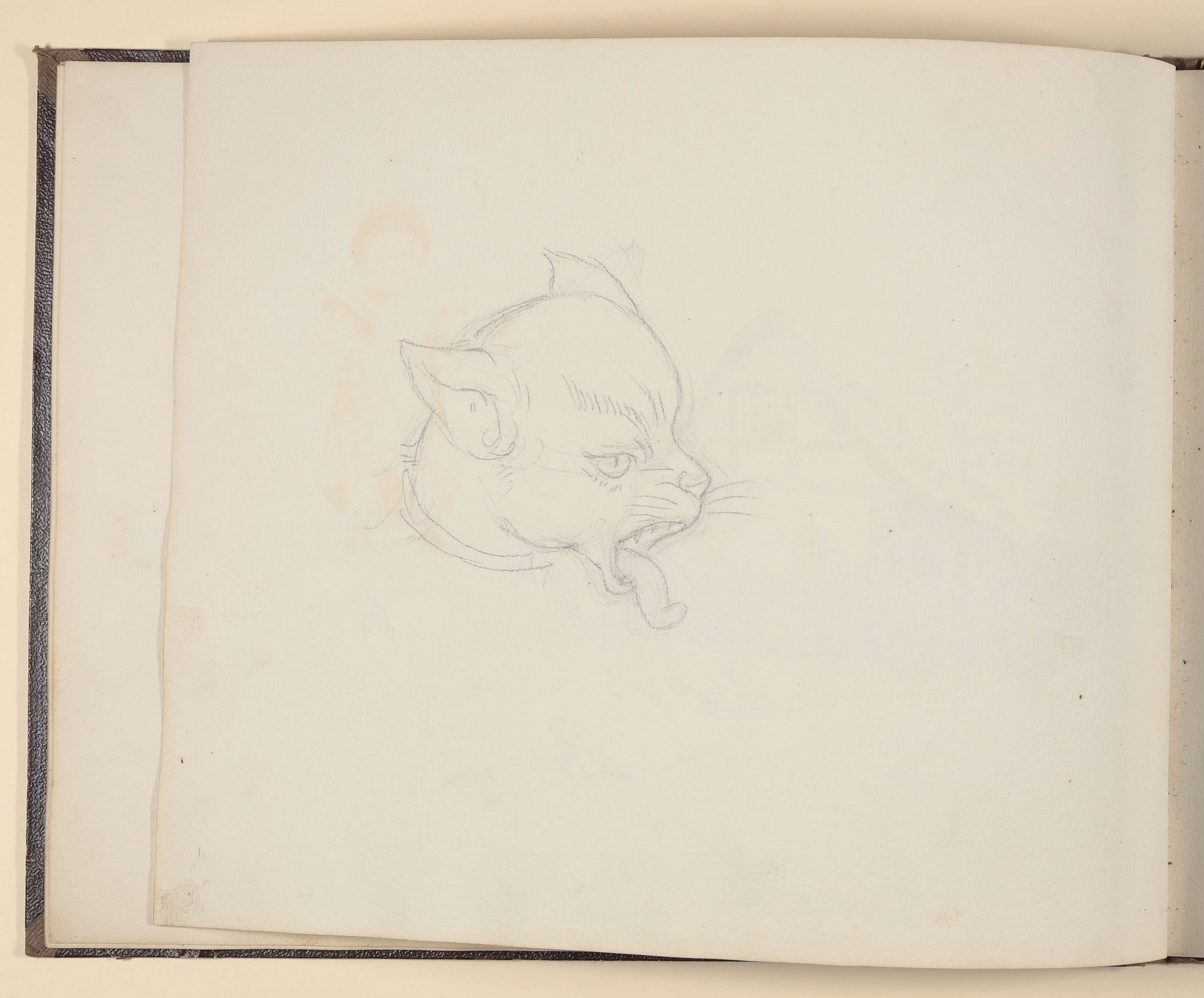 Katze mit ausgestreckter Zunge [aus einem Skizzenbuch vornehmlich mit Tier- und Pflanzenstudien] ((c) Freies Deutsches Hochstift / Frankfurter Goethe-Museum CC BY-NC-SA)