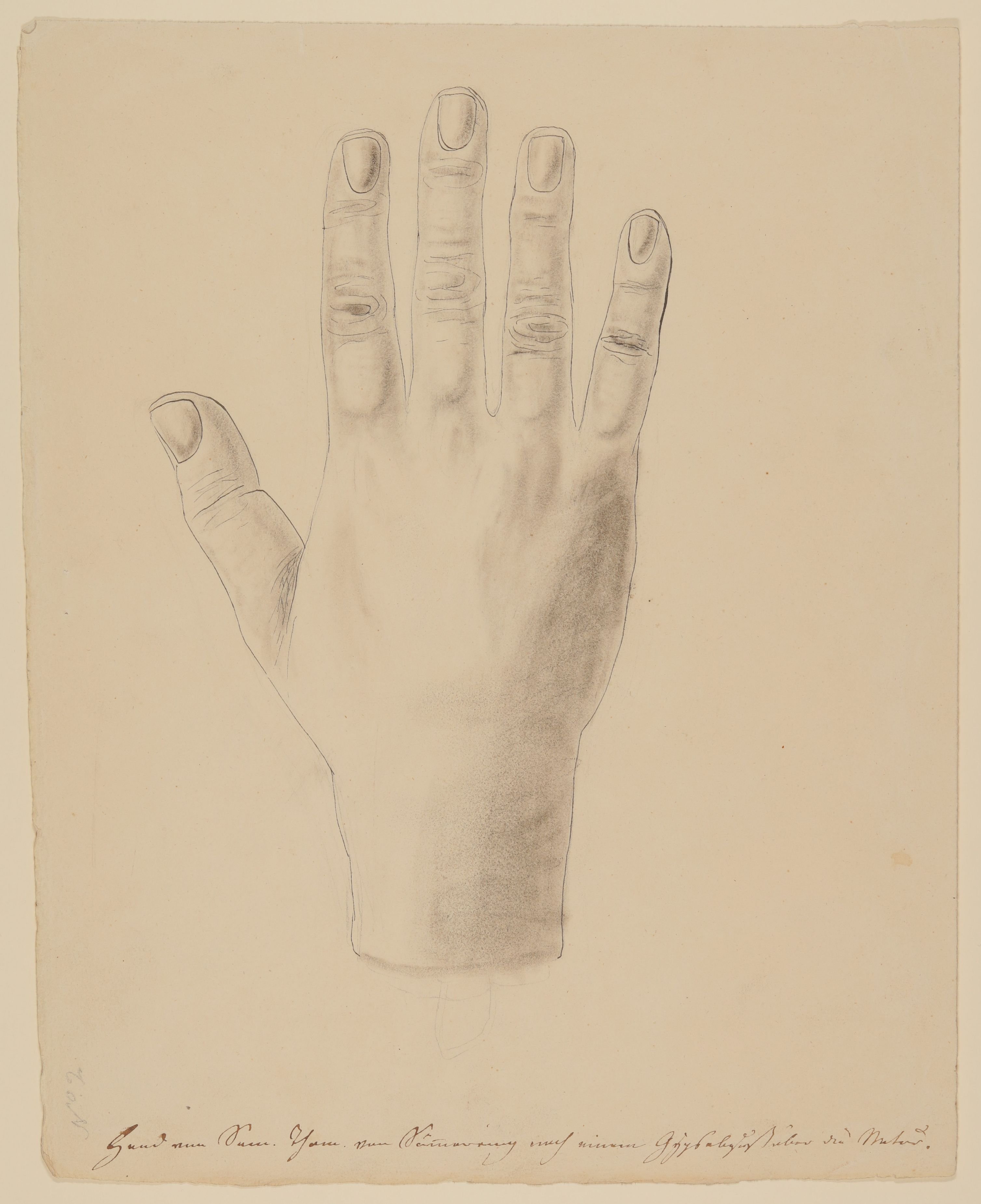 Die rechte Hand des Samuel Thomas Soemmerring nach einem Gipsabguss [aus einem Konvolut anatomischer Zeichnungen des Christian Koeck] (Freies Deutsches Hochstift CC BY-NC-SA)