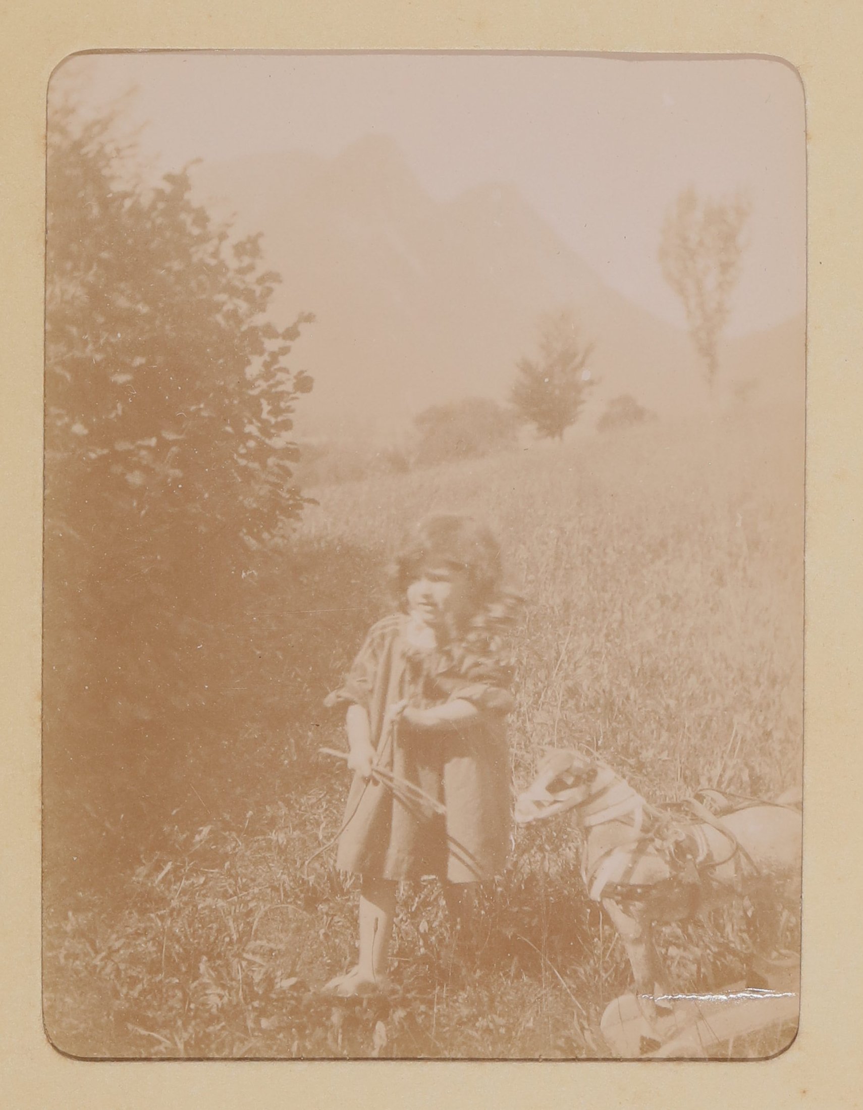 Christiane von Hofmannsthal mit Spielzeugpferd auf einer Wiese in Aussee (Freies Deutsches Hochstift / Frankfurter Goethe-Museum CC BY-NC-SA)