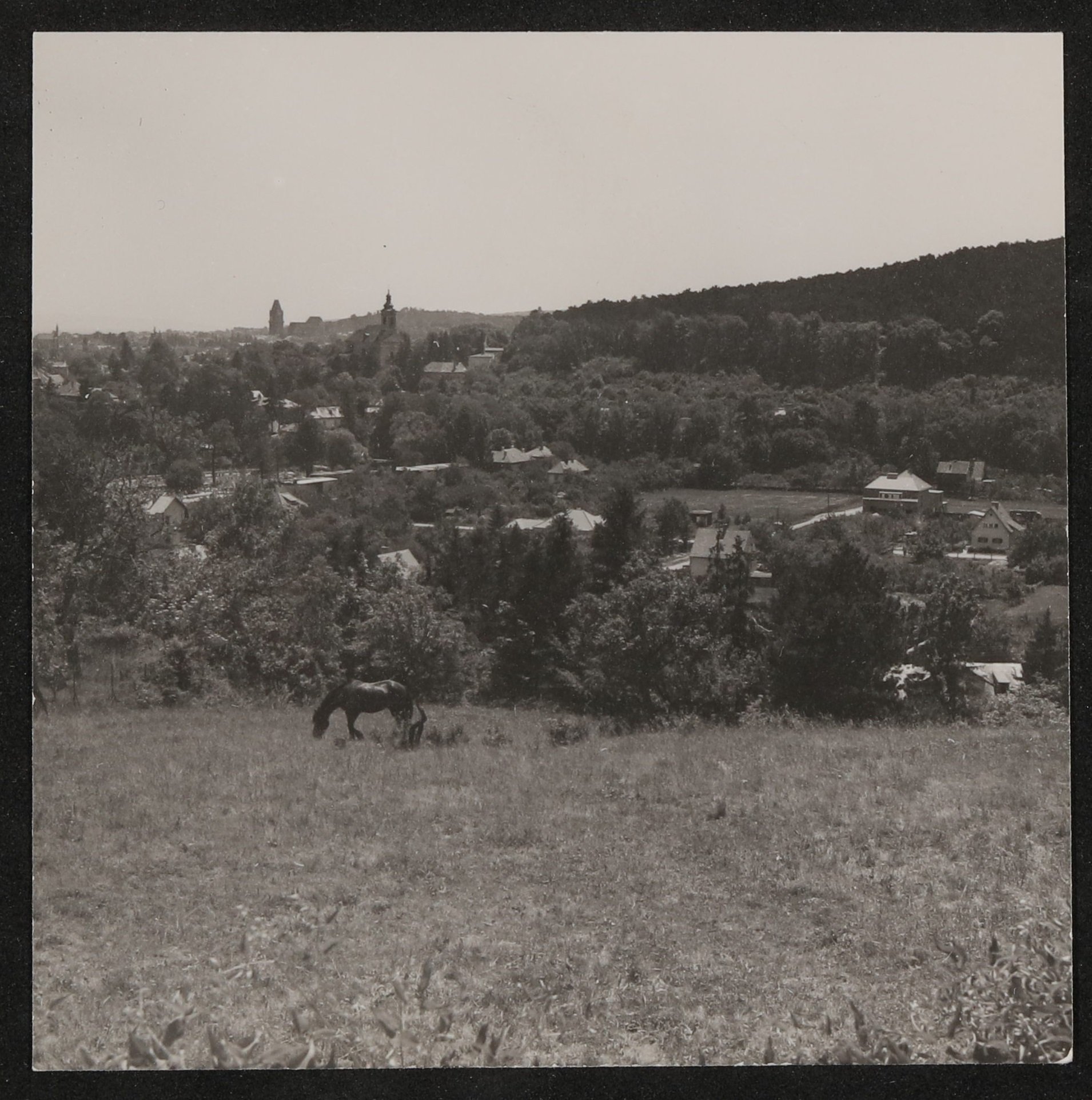Landschaft mit Pferd bei Rodaun von Kalksburg aus gesehen mit Beschriftung von Paul Celan (Freies Deutsches Hochstift / Frankfurter Goethe-Museum CC BY-NC-SA)
