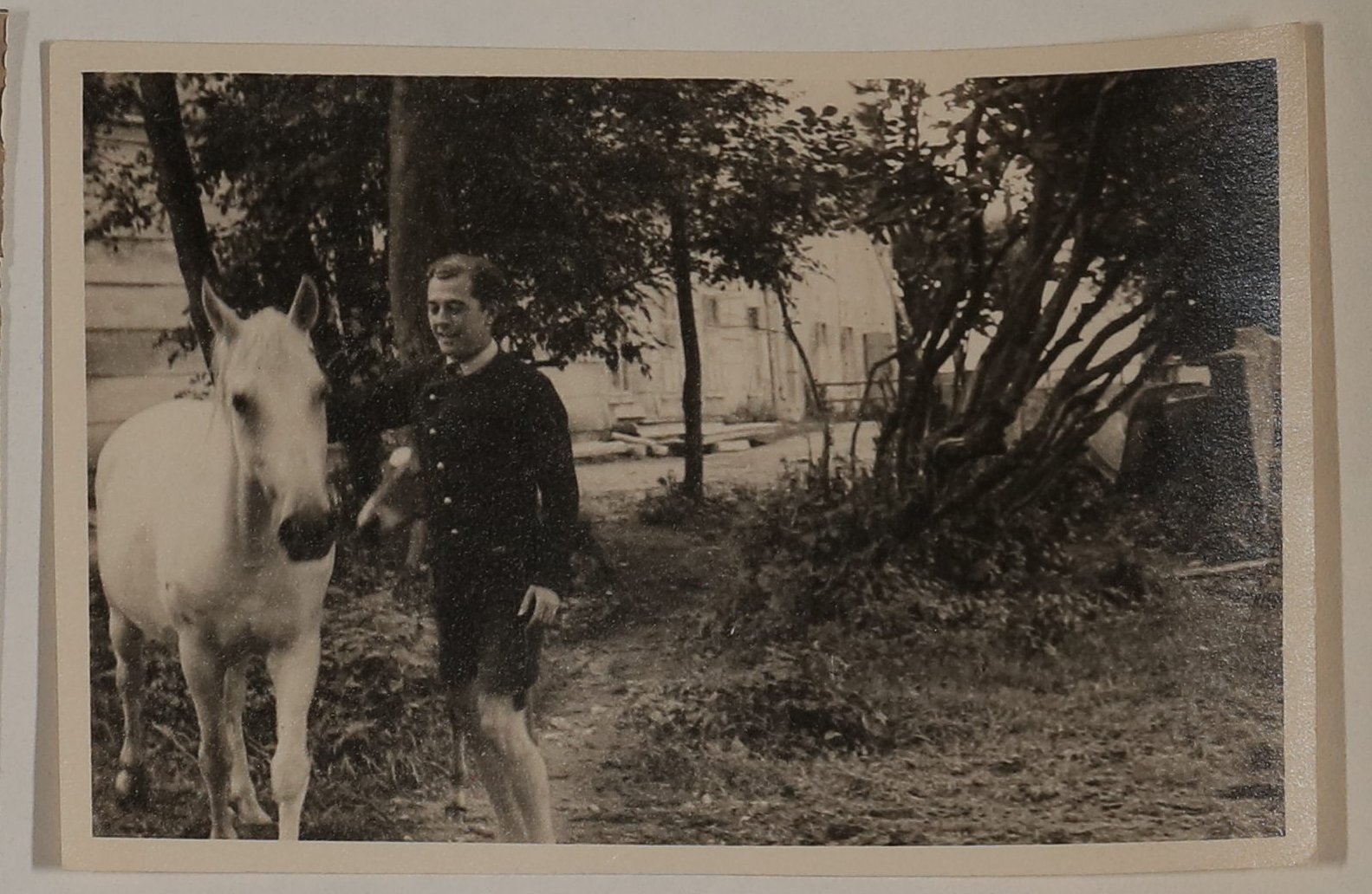 Raimund von Hofmannsthal neben einem Pferd stehend (Vera Graaf CC BY-NC-SA)