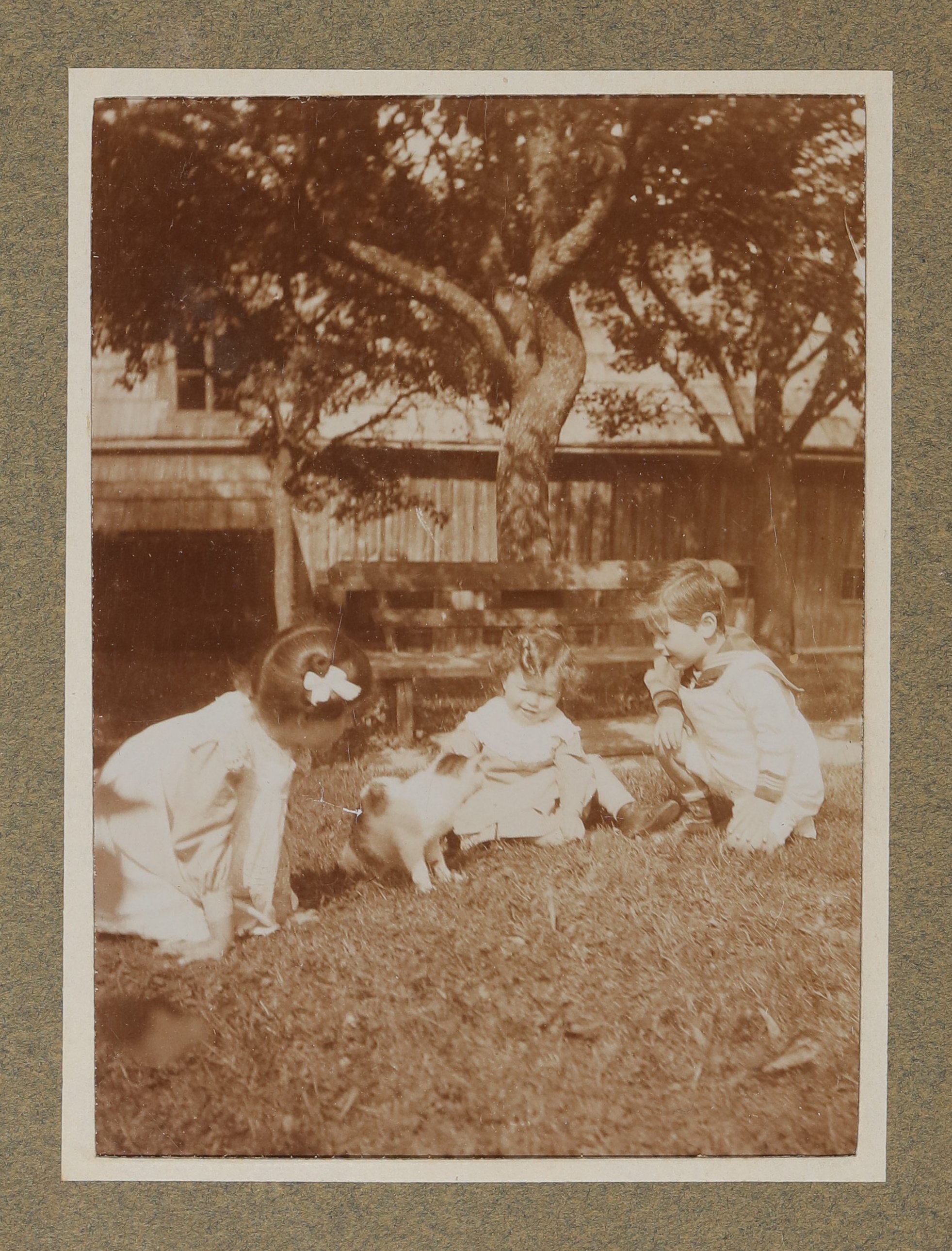 Christiane, Raimund und Franz von Hofmannsthal sitzen mit einer Katze auf einer Wiese (Vera Graaf CC BY-NC-SA)