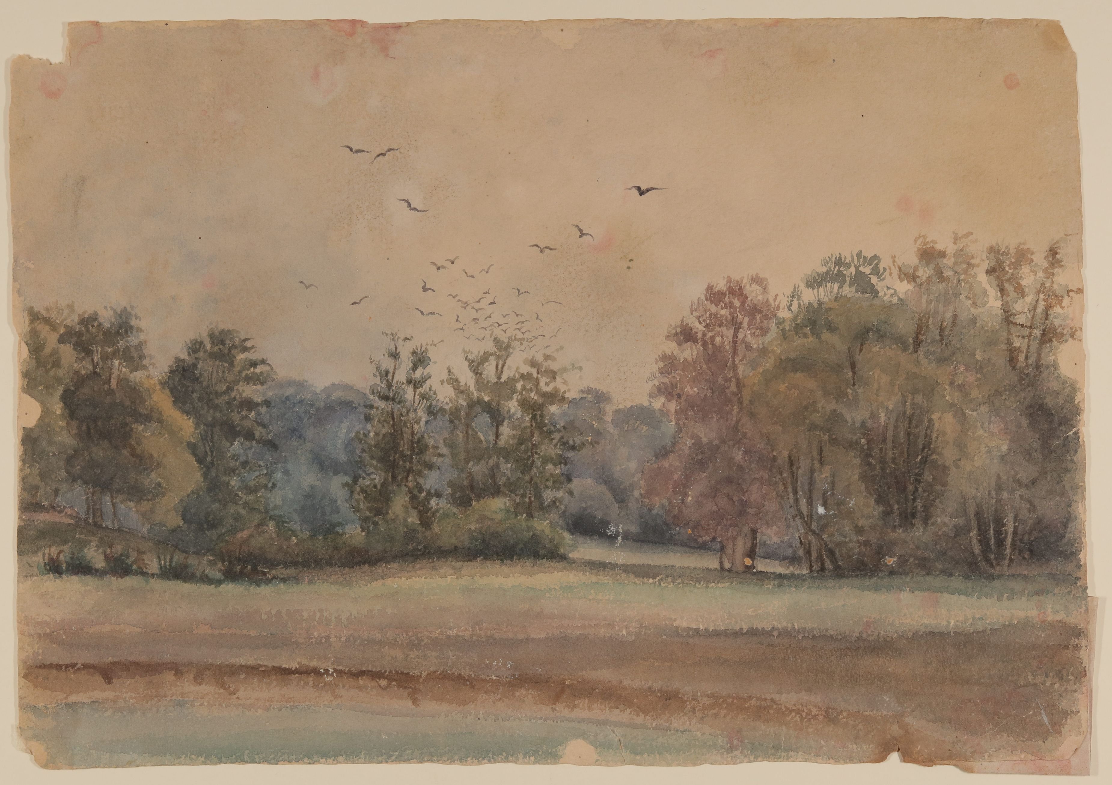 Herbstliche Baumlandschaft mit Vogelschwarm [aus Mappe III aus dem Sommerhoff-Nachlass] (Freies Deutsches Hochstift / Frankfurter Goethe-Museum CC BY-NC-SA)