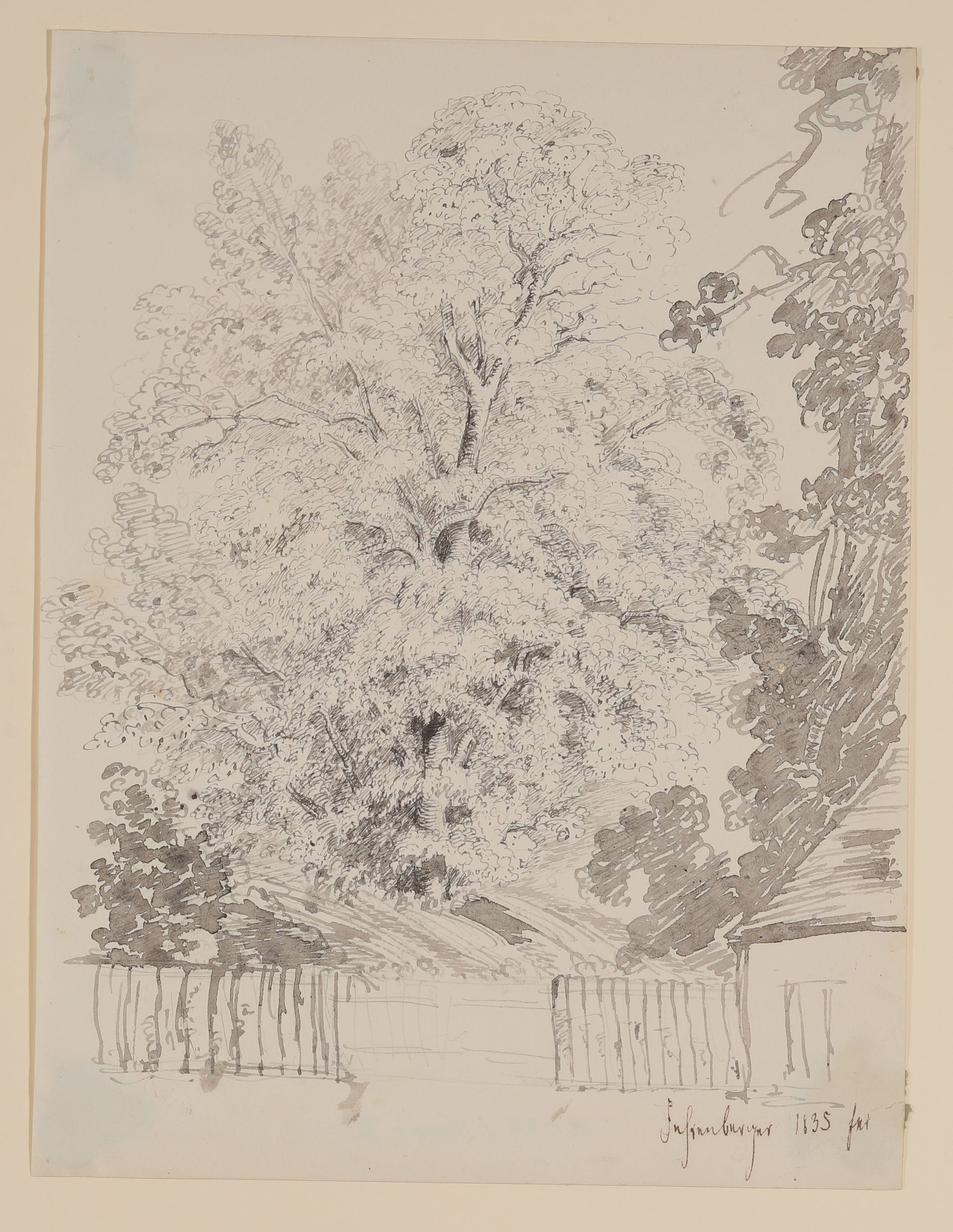 Bäume [aus Mappe III aus dem Sommerhoff-Nachlass] (Freies Deutsches Hochstift / Frankfurter Goethe-Museum CC BY-NC-SA)