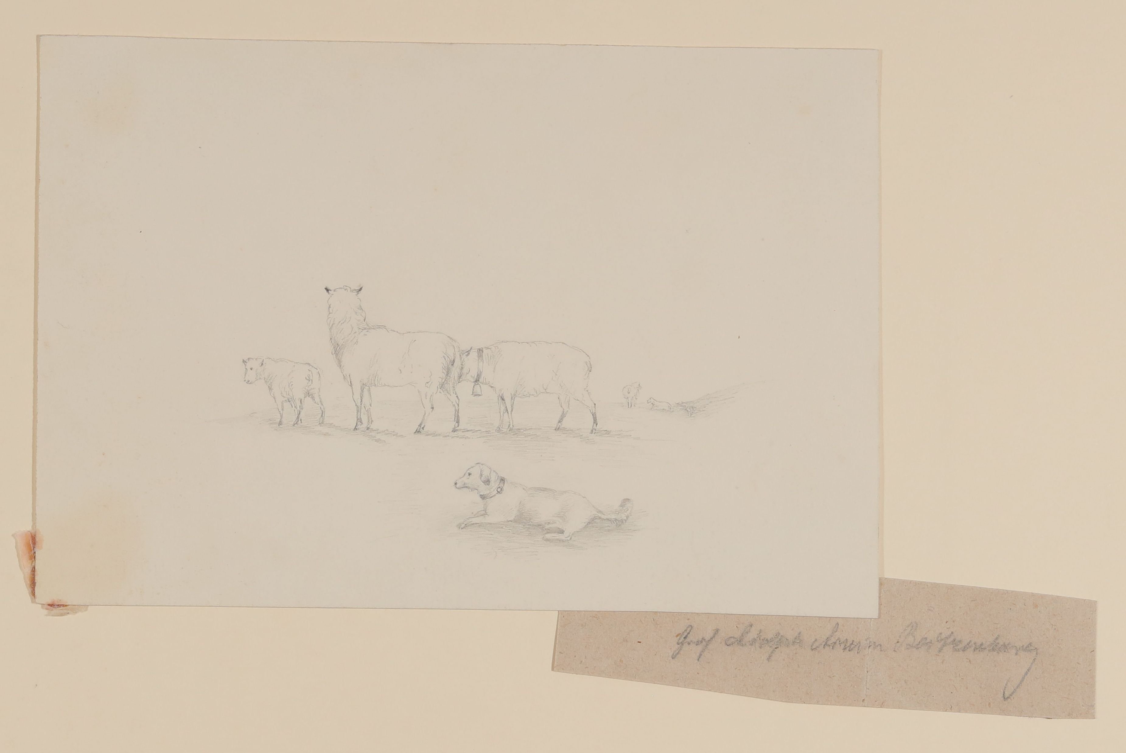 Schafe mit Hütehund [aus Mappe III aus dem Sommerhoff-Nachlass] (Freies Deutsches Hochstift / Frankfurter Goethe-Museum CC BY-NC-SA)